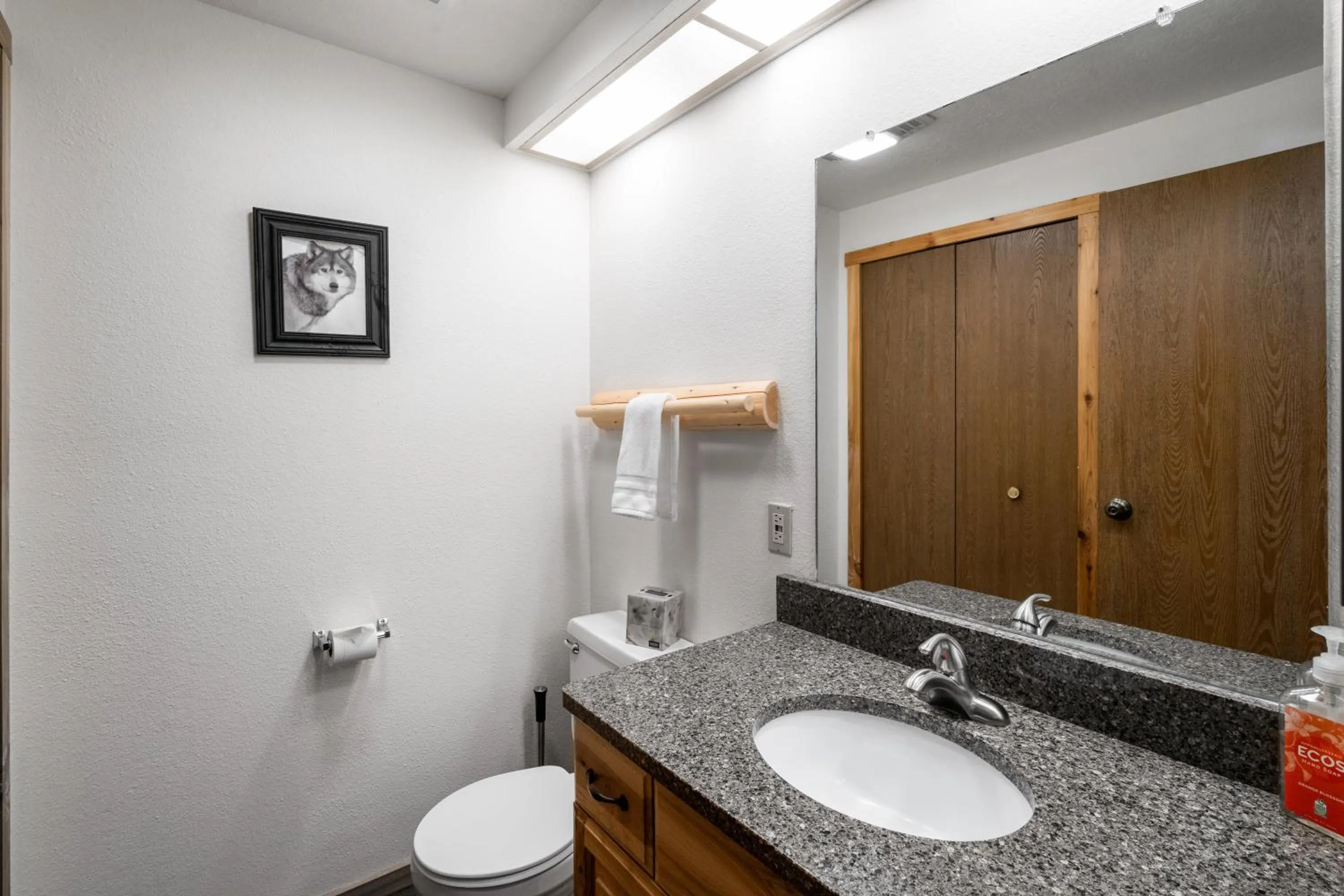 Toilet in Homestead #1