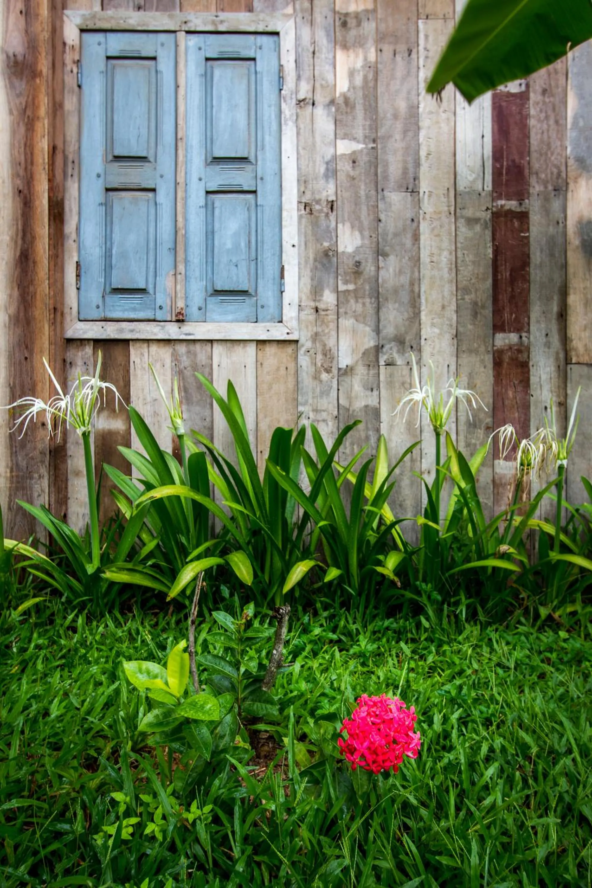 Facade/entrance in Angkor Rural Boutique Resort