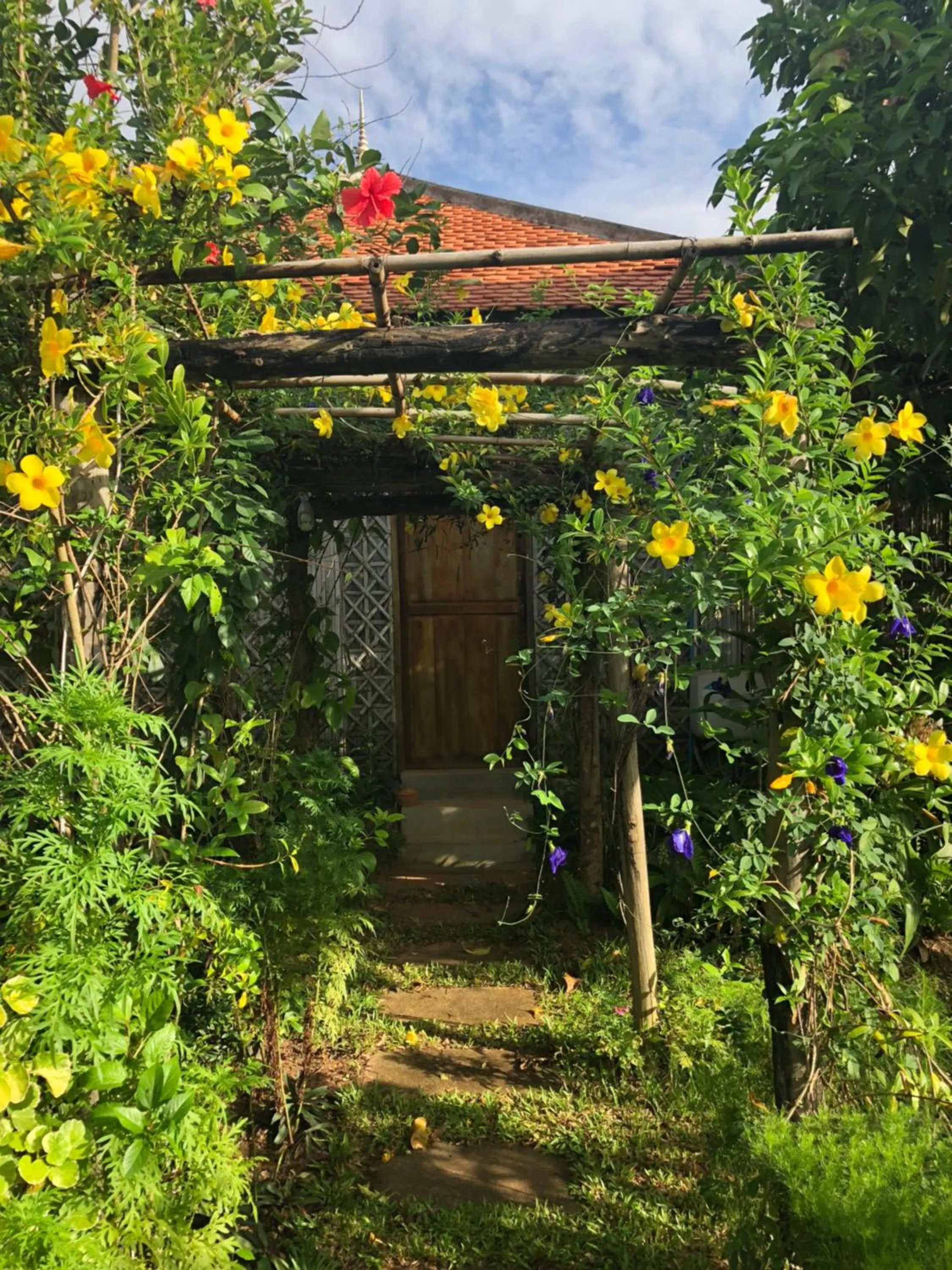 Property Building in Angkor Rural Boutique Resort