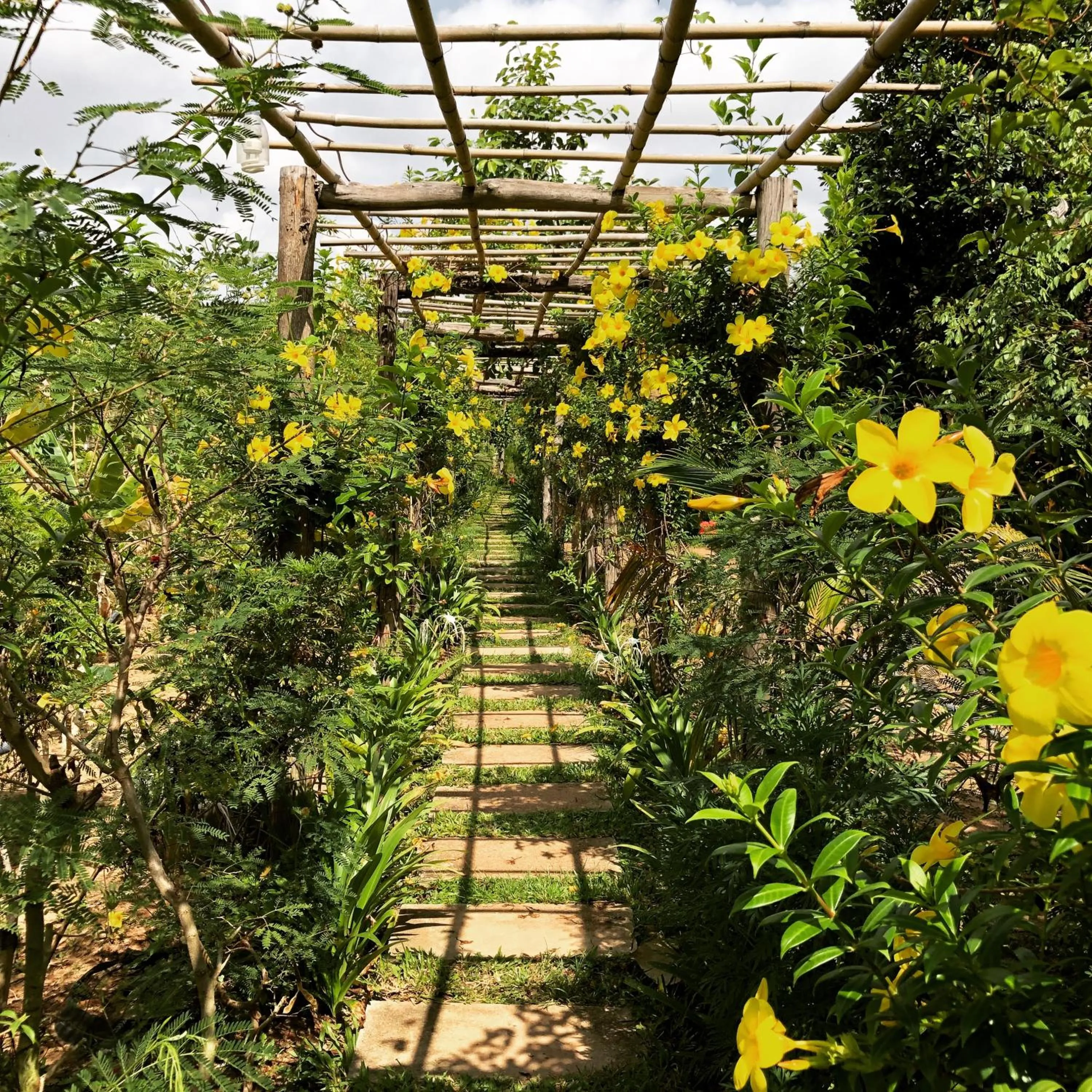 Garden in Angkor Rural Boutique Resort