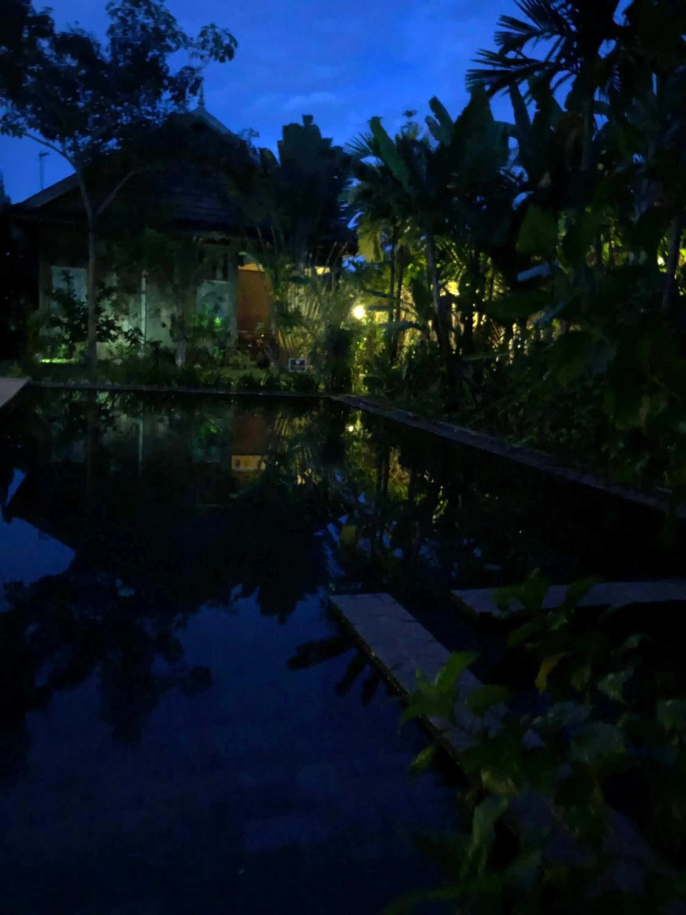Pool view in Angkor Rural Boutique Resort