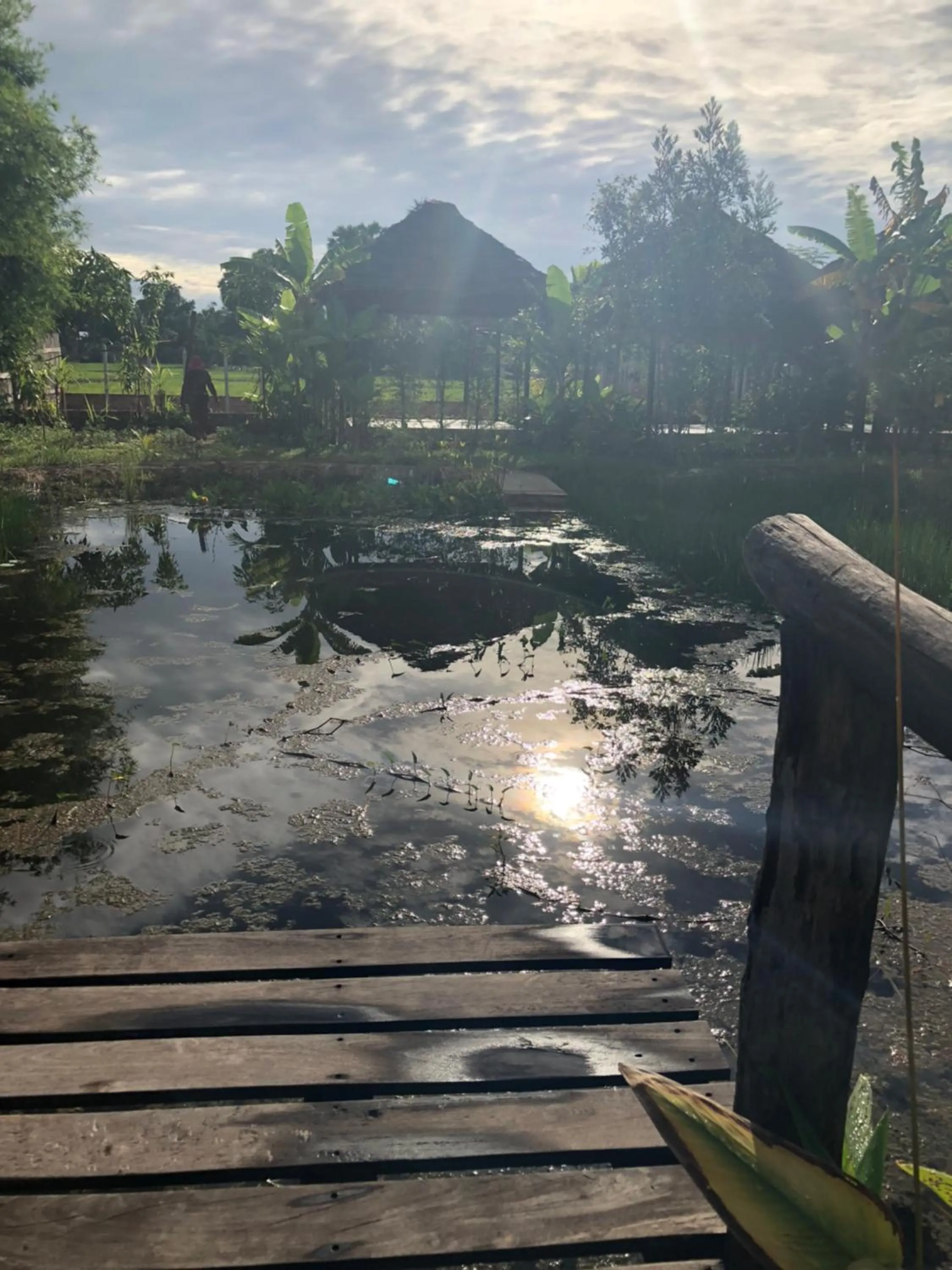Garden in Angkor Rural Boutique Resort
