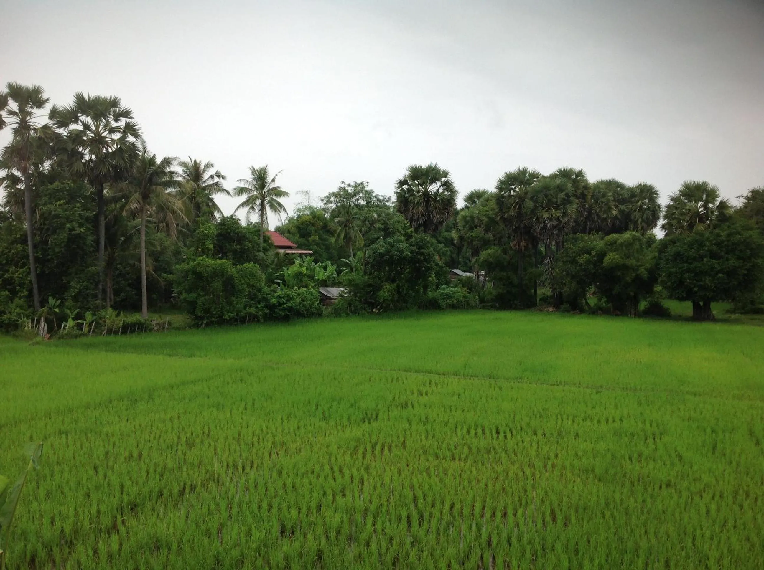 Area and facilities in Angkor Rural Boutique Resort
