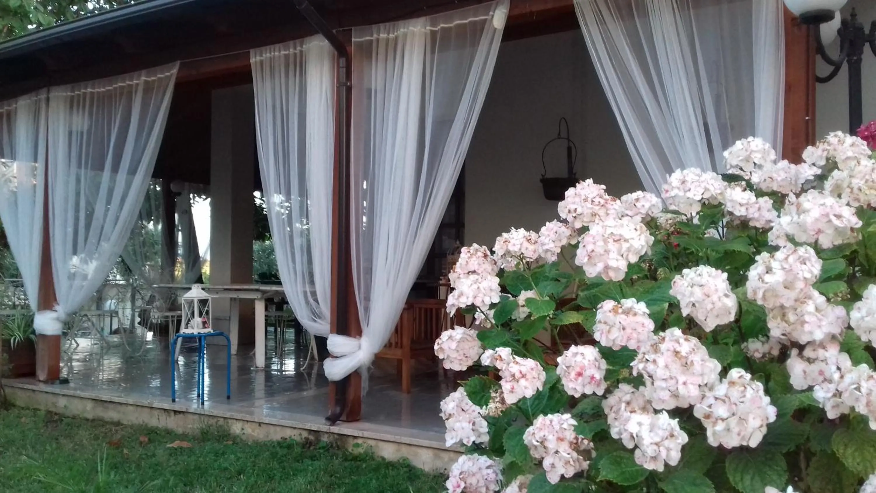 Garden in Villa Carol Appartamento e B&B