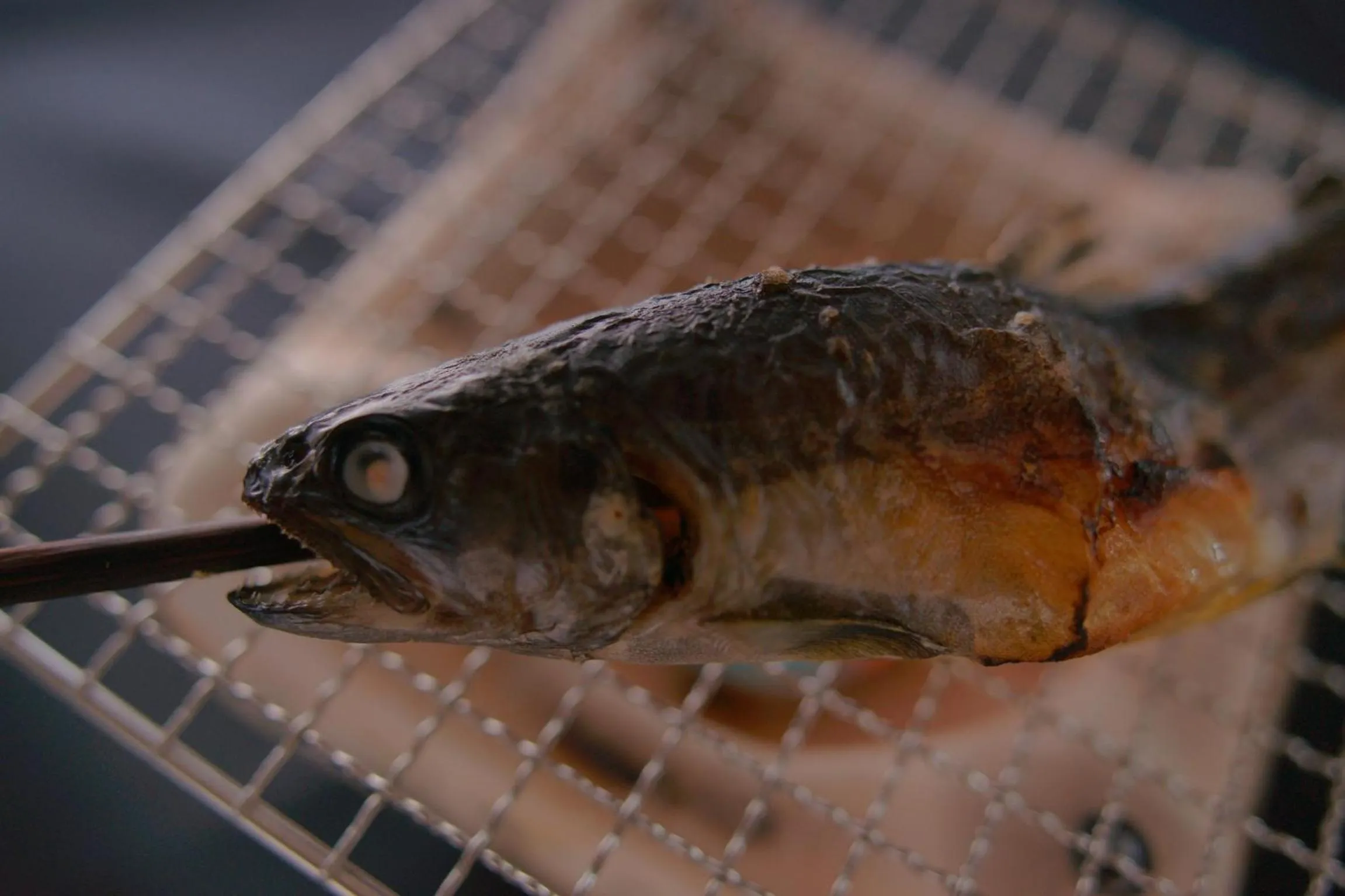 Food in Hotel Kaminoyu Onsen