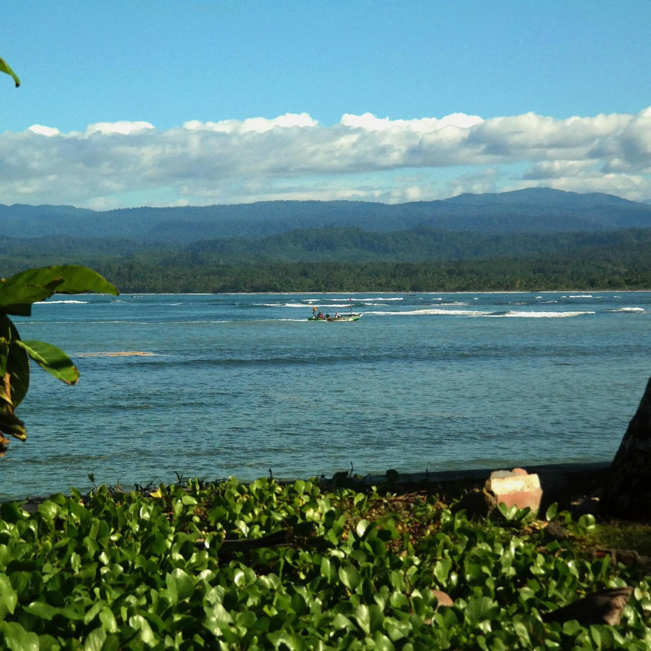 Other in Cabana Surf and Stay