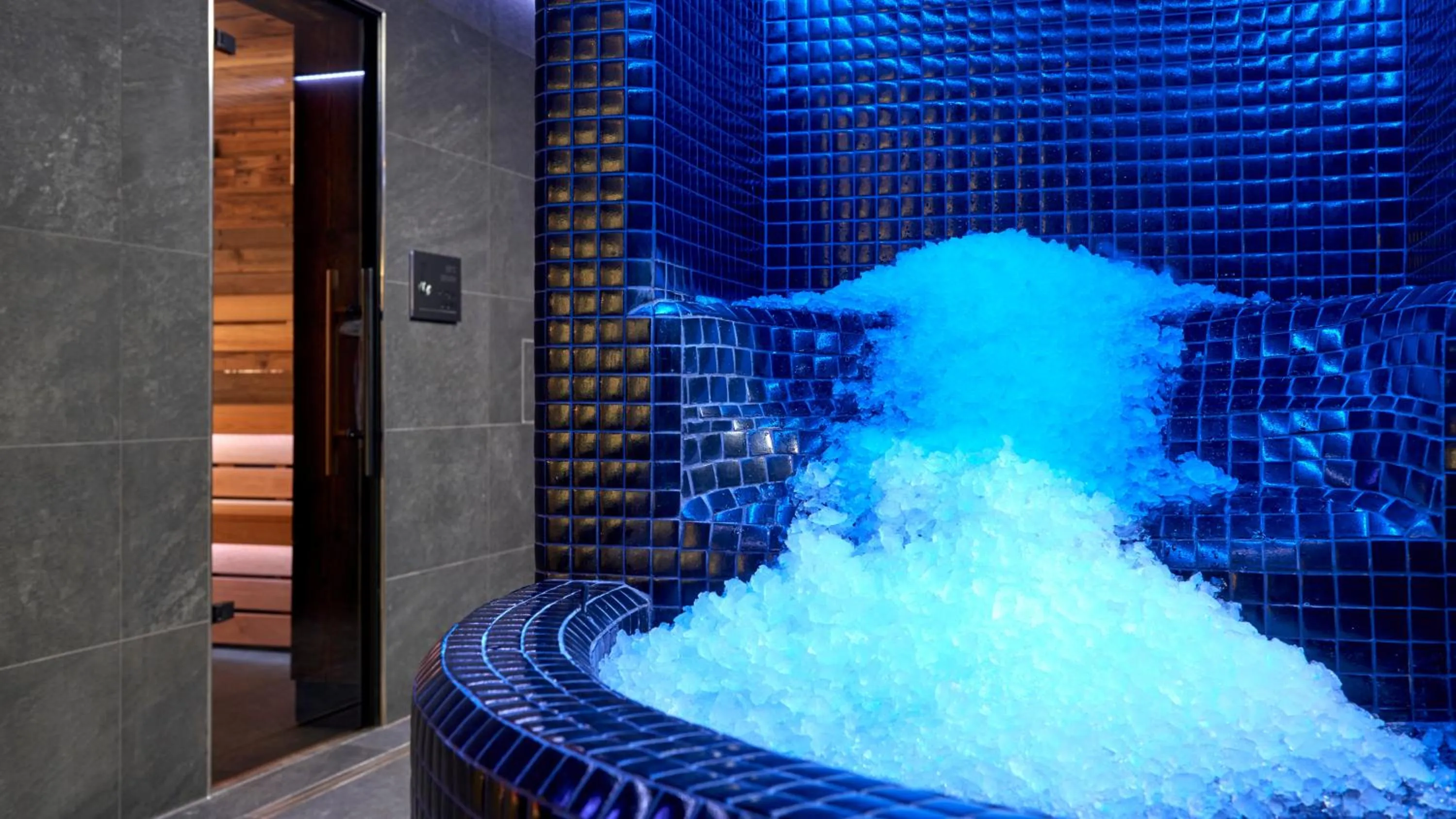 Spa and wellness centre/facilities in OREA Resort Horal Špindlerův Mlýn