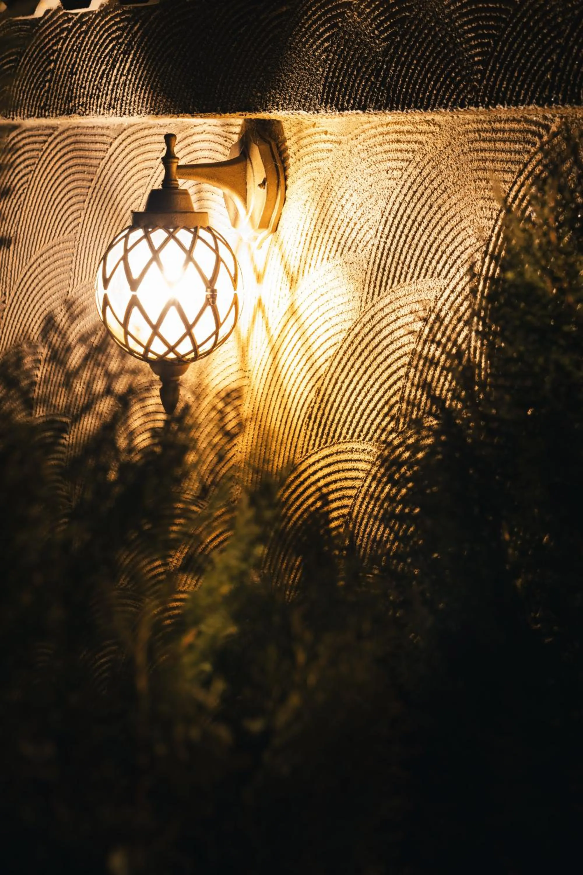 Garden in HIDDEN BANK: Golden