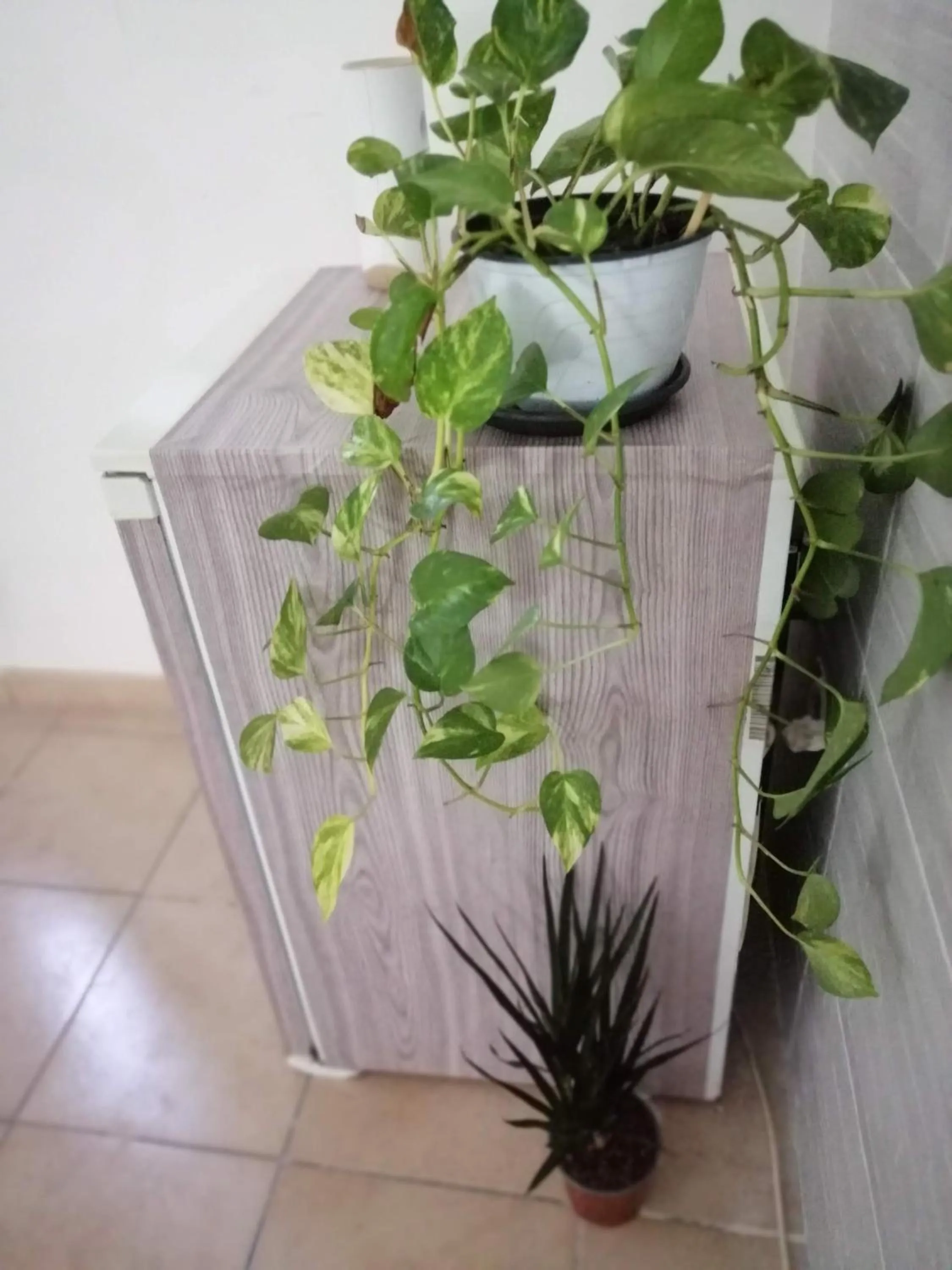 Bedroom in Room&Relax