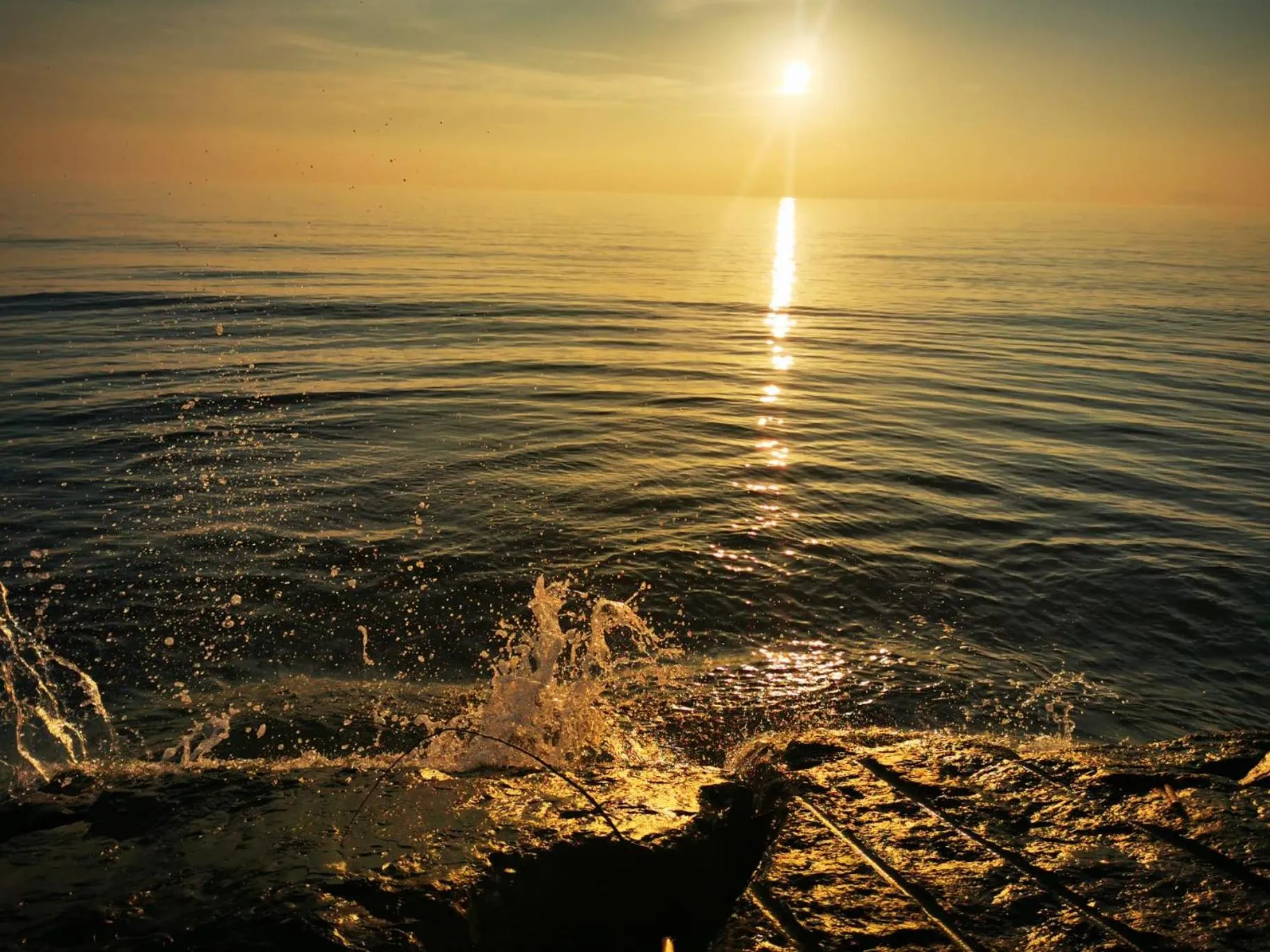 Natural landscape in Room&Relax