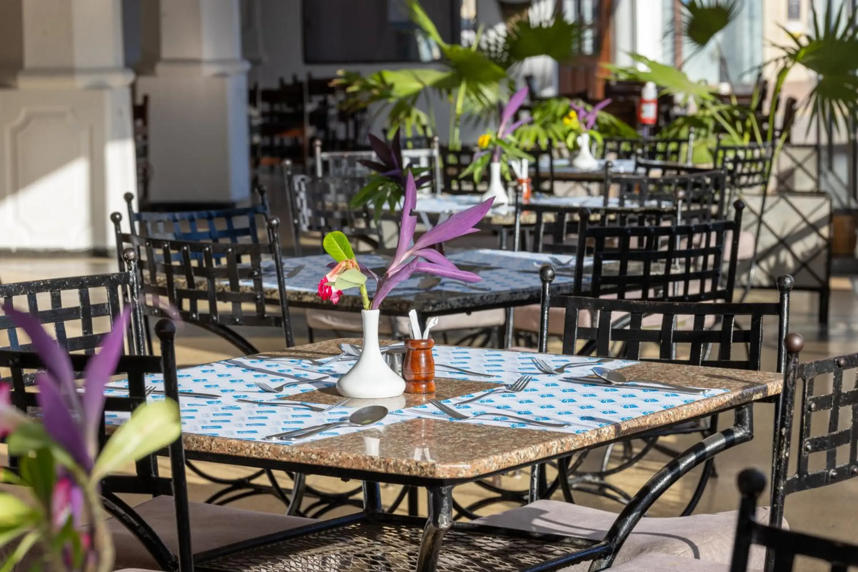 Restaurant/places to eat in Sentrim Castle Royal Hotel Restaurant/places to eat in Sentrim Castle Royal Hotel