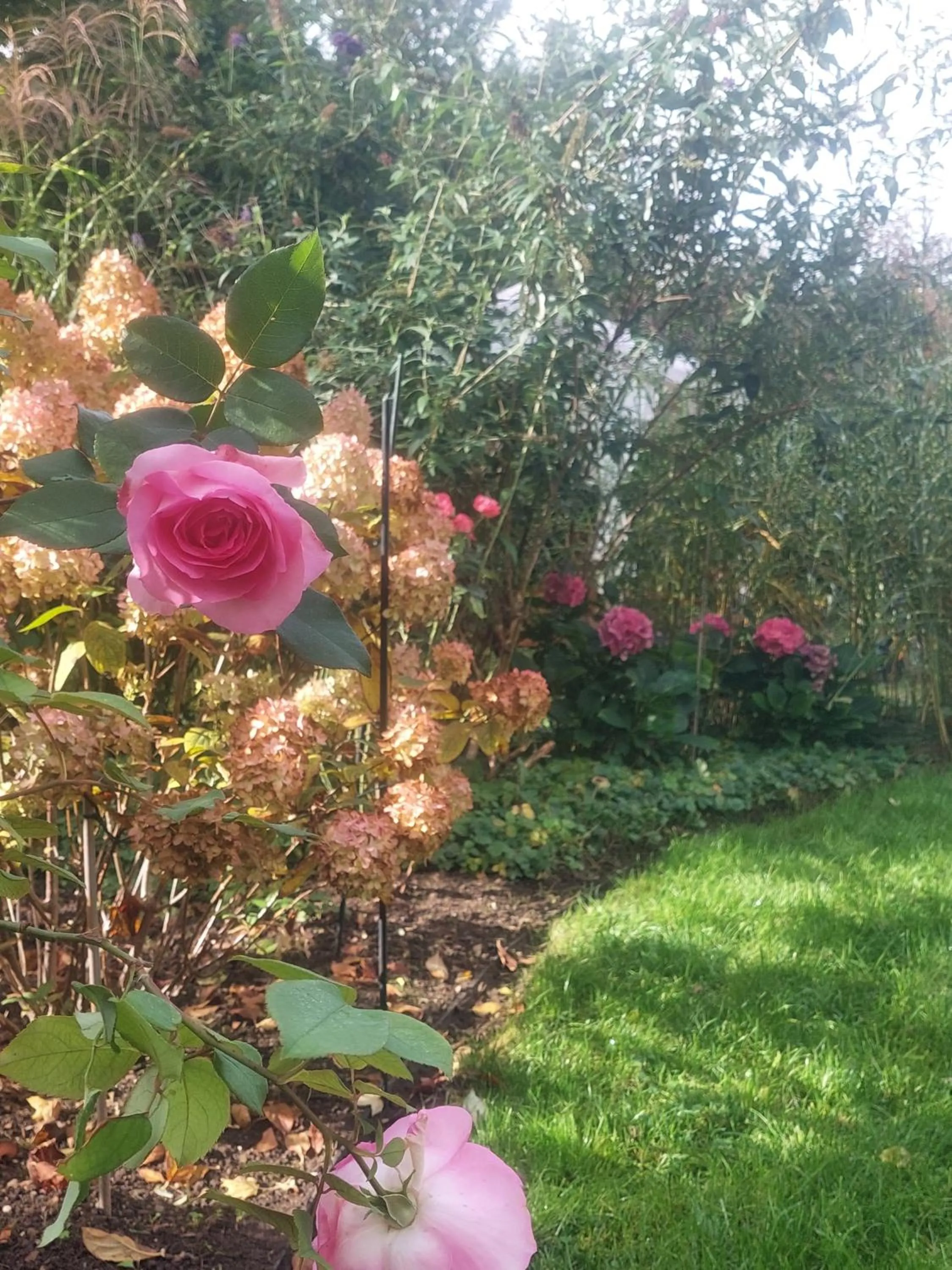 Garden in Paleo Finest Serviced Apartments