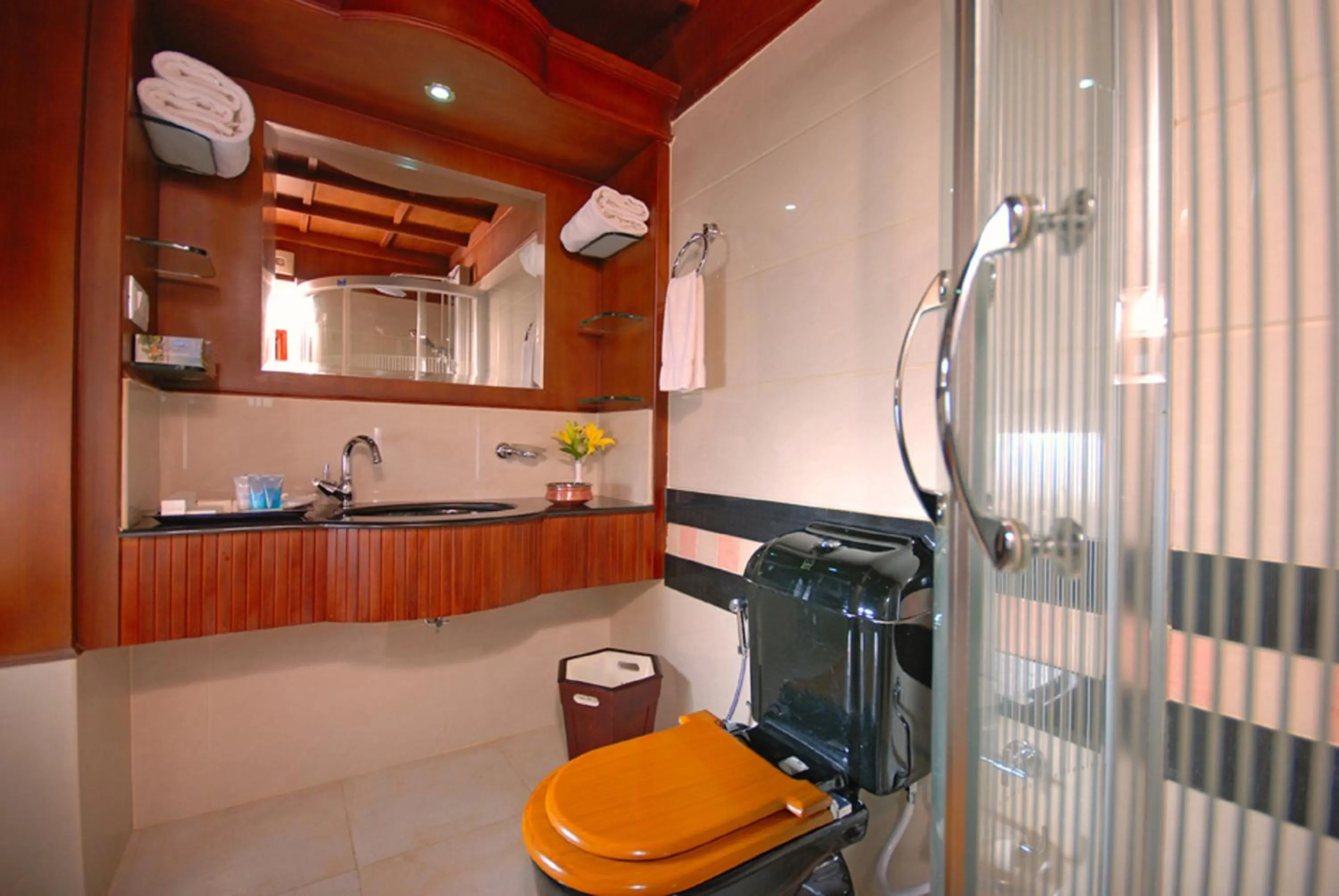Bathroom in Sterling Houseboats Lake Palace, Alleppey