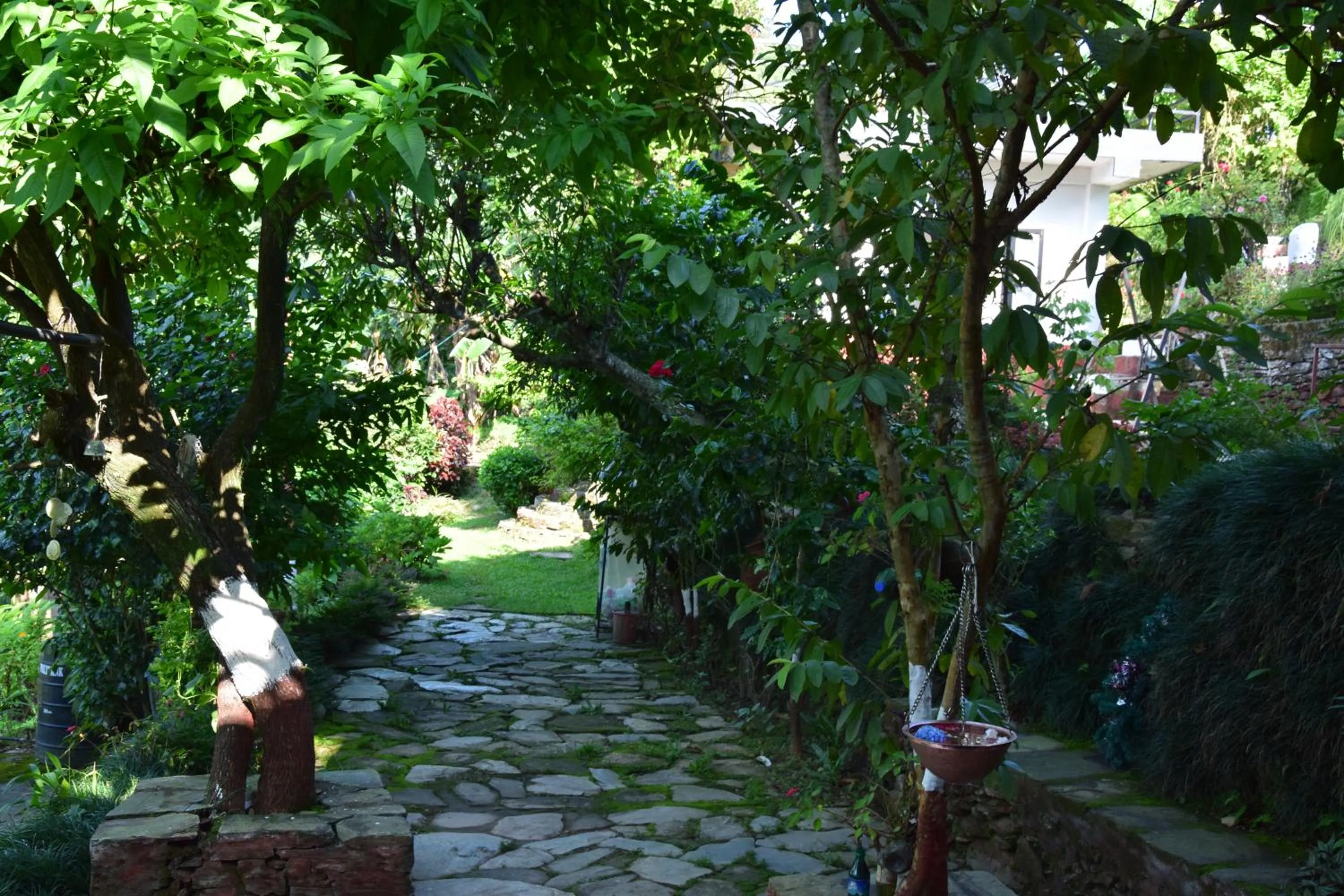 View (from property/room) in Siddhartha Garden Ayurveda