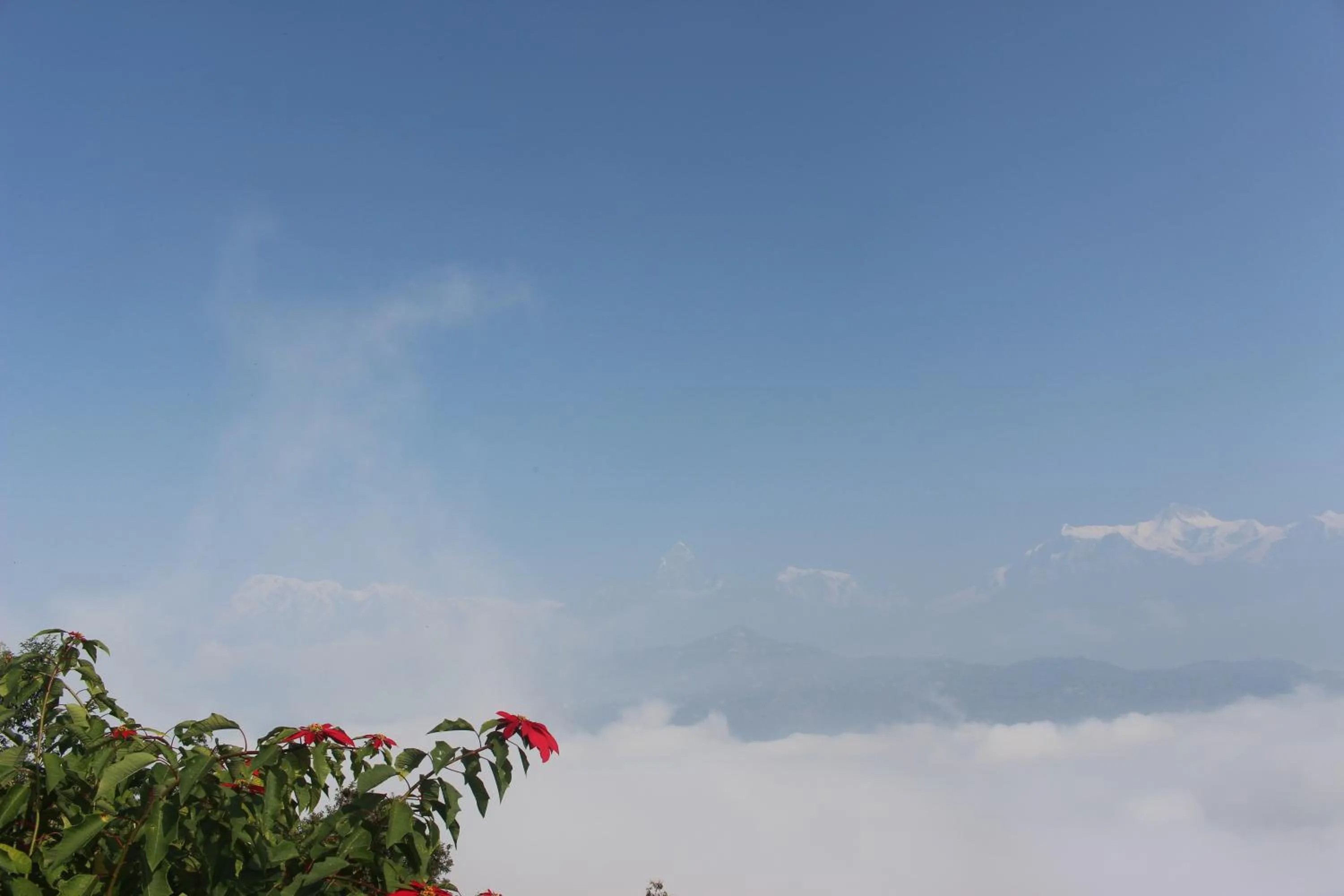 Sunset in Siddhartha Garden Ayurveda