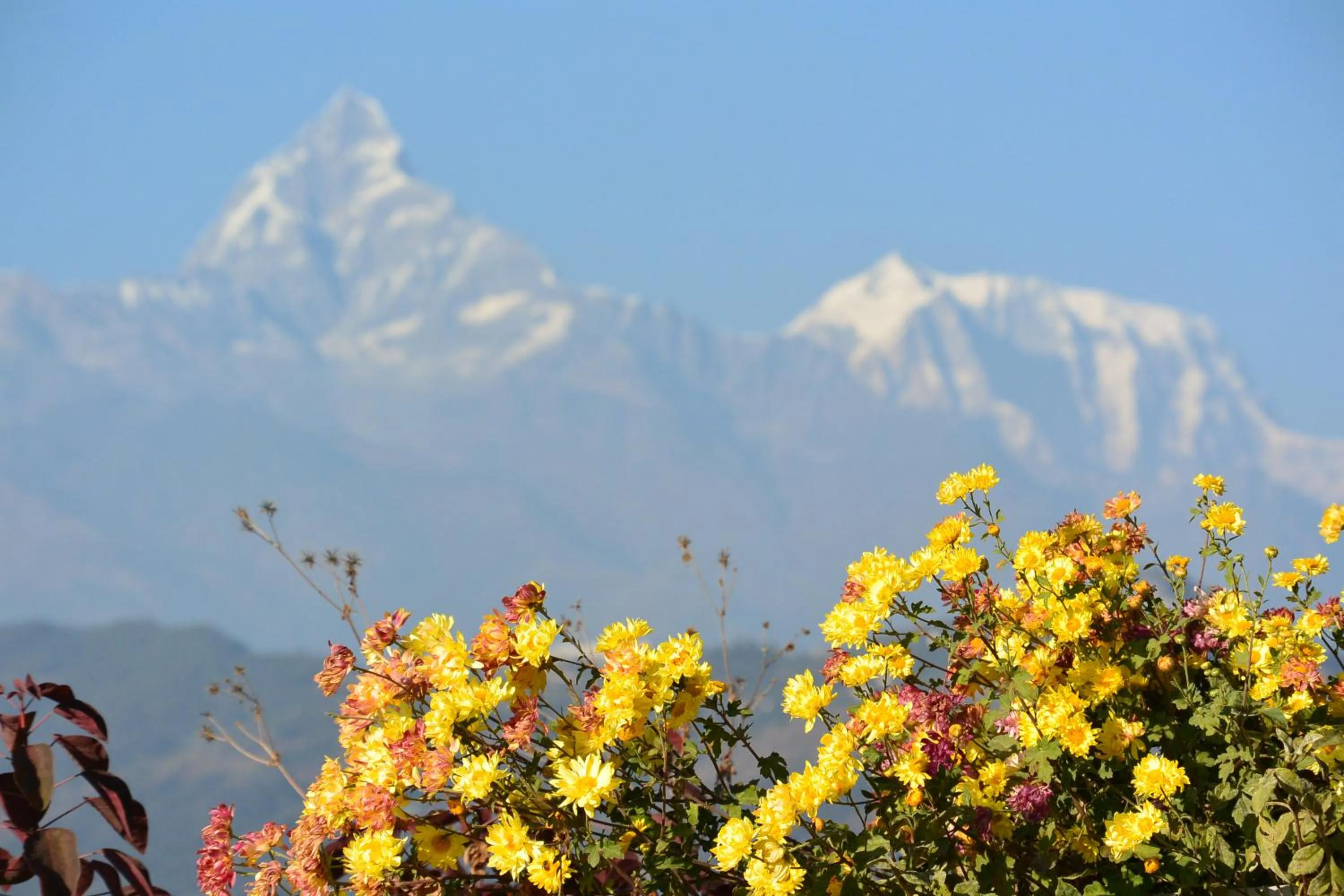 Mountain view in Siddhartha Garden Ayurveda