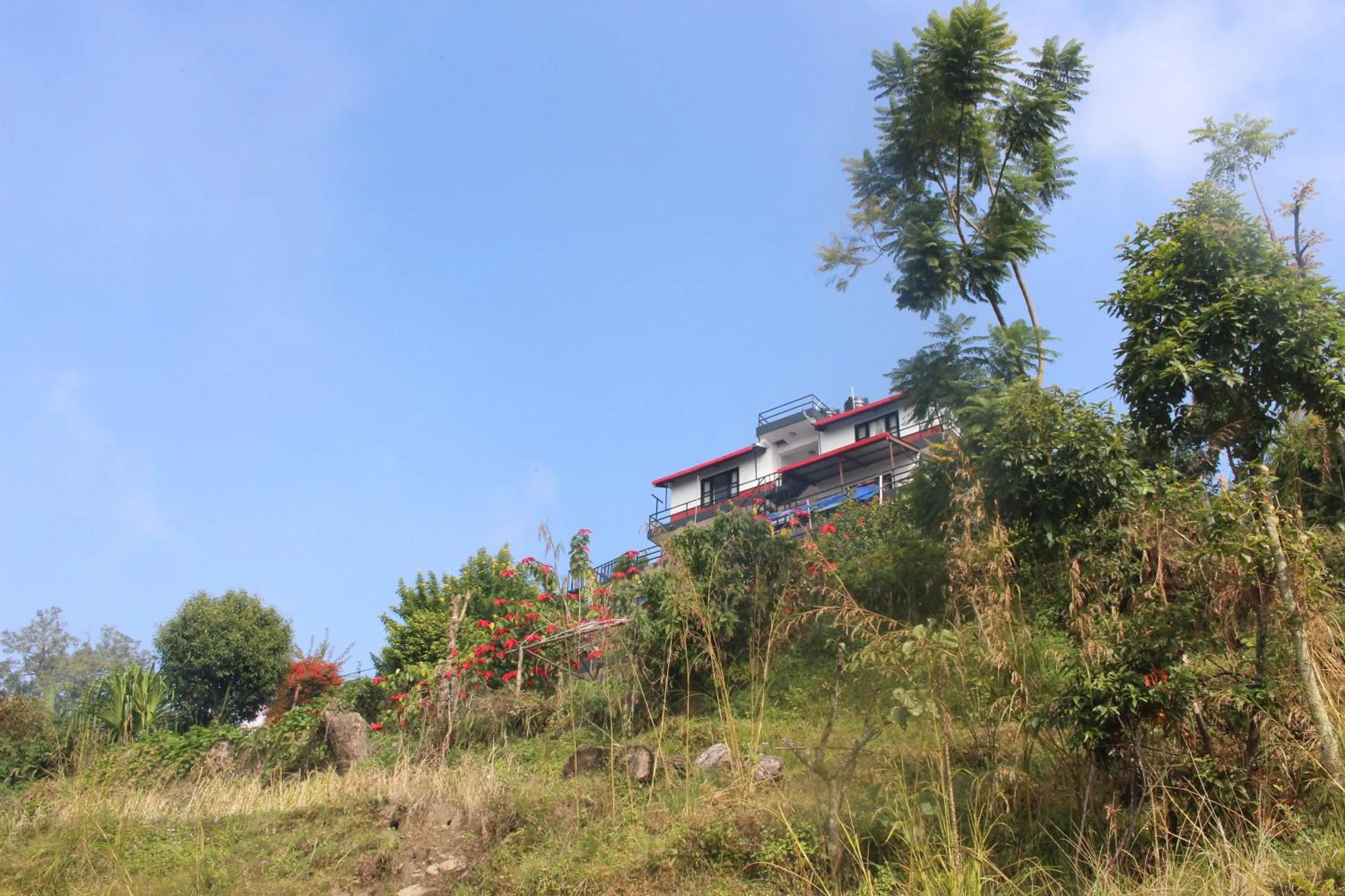 Natural landscape in Siddhartha Garden Ayurveda