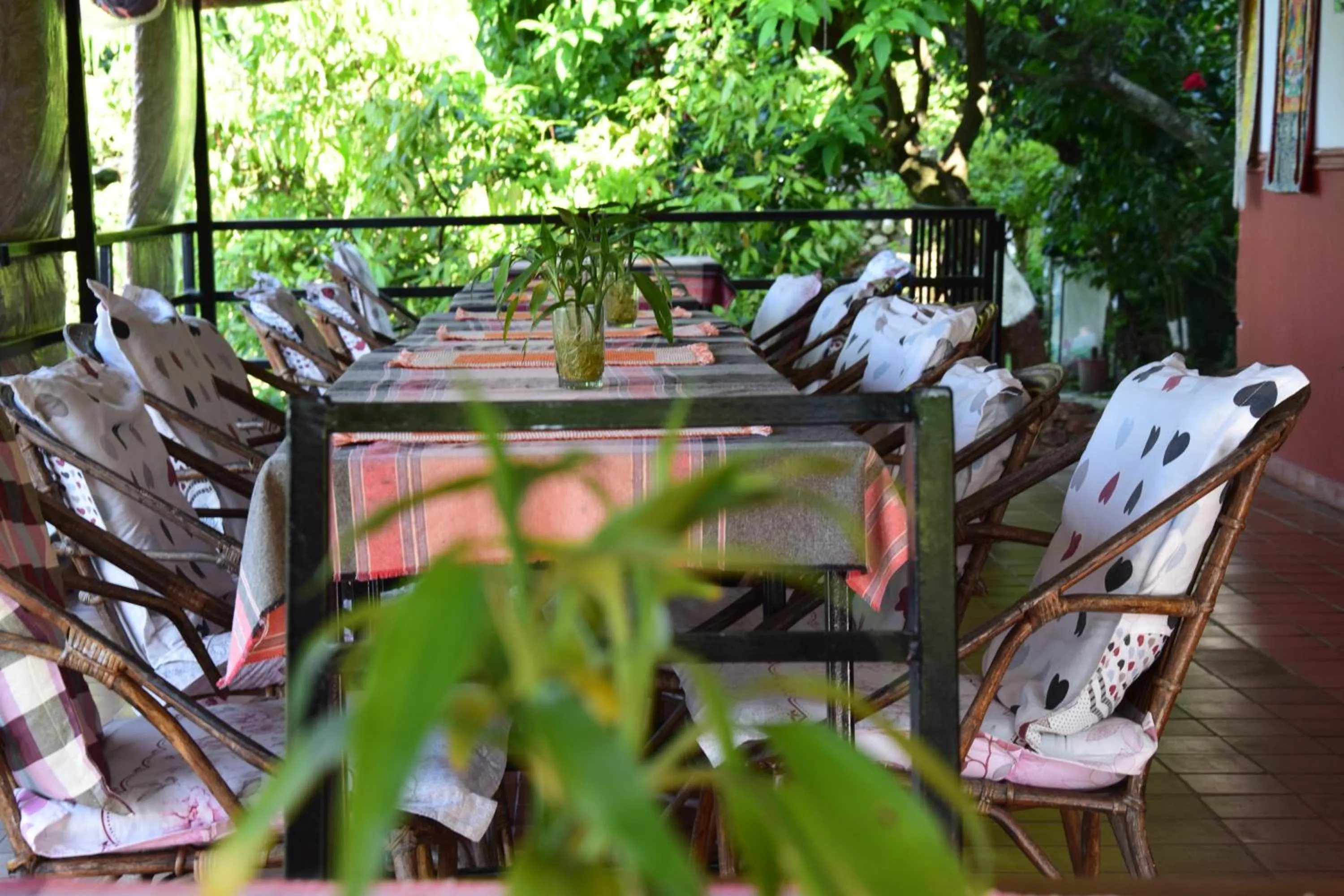 Restaurant/places to eat in Siddhartha Garden Ayurveda