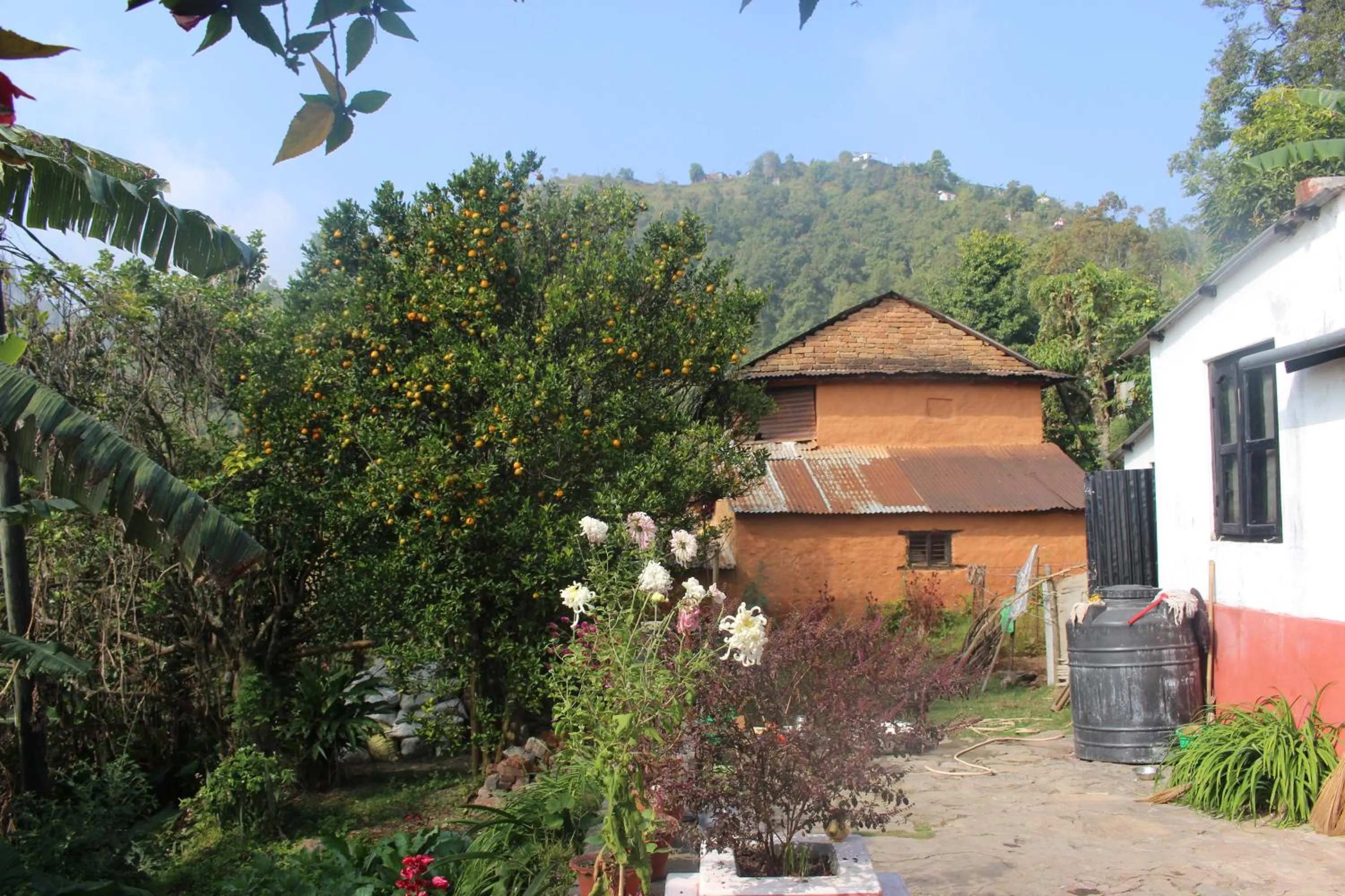 Bird's eye view in Siddhartha Garden Ayurveda