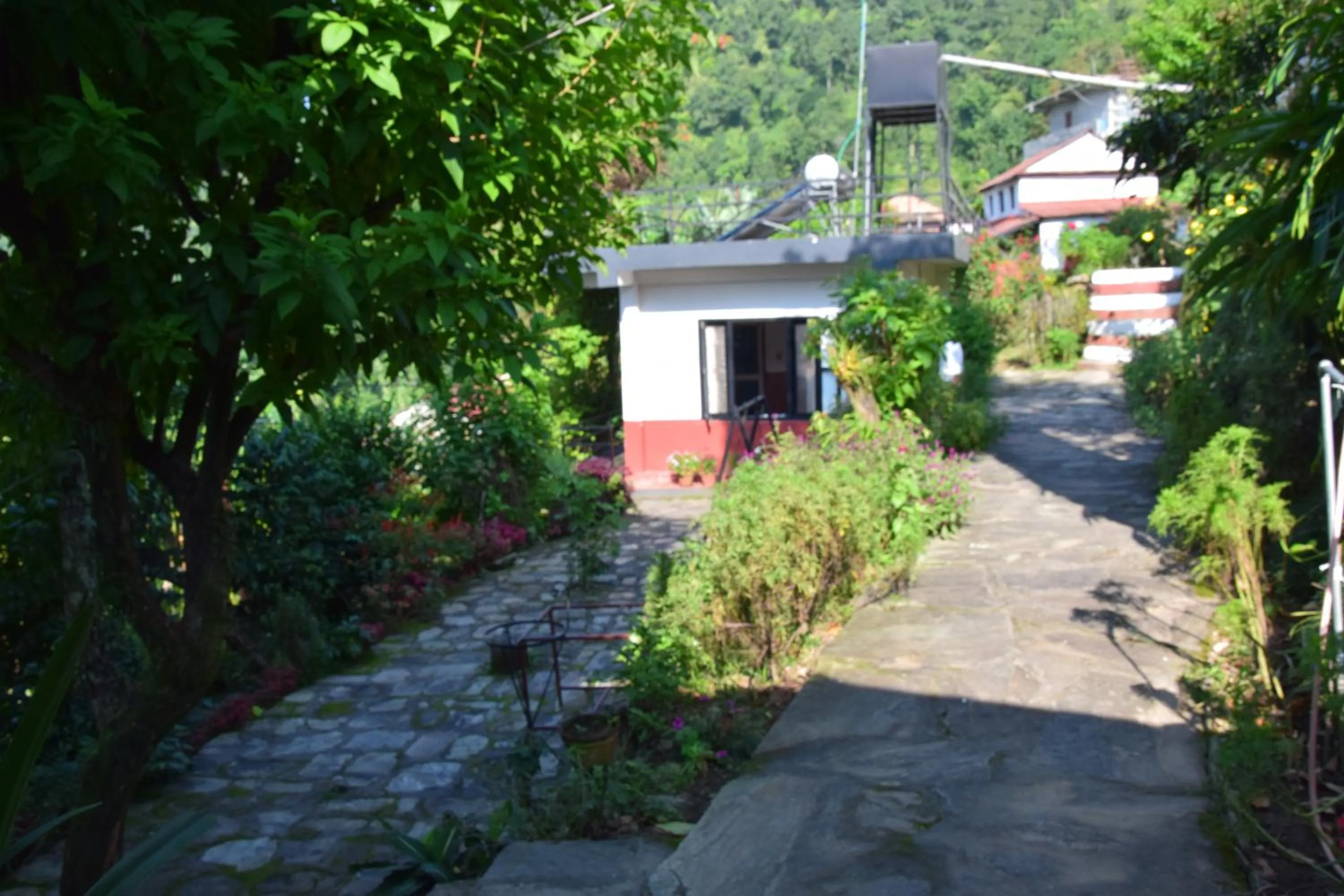 On site in Siddhartha Garden Ayurveda