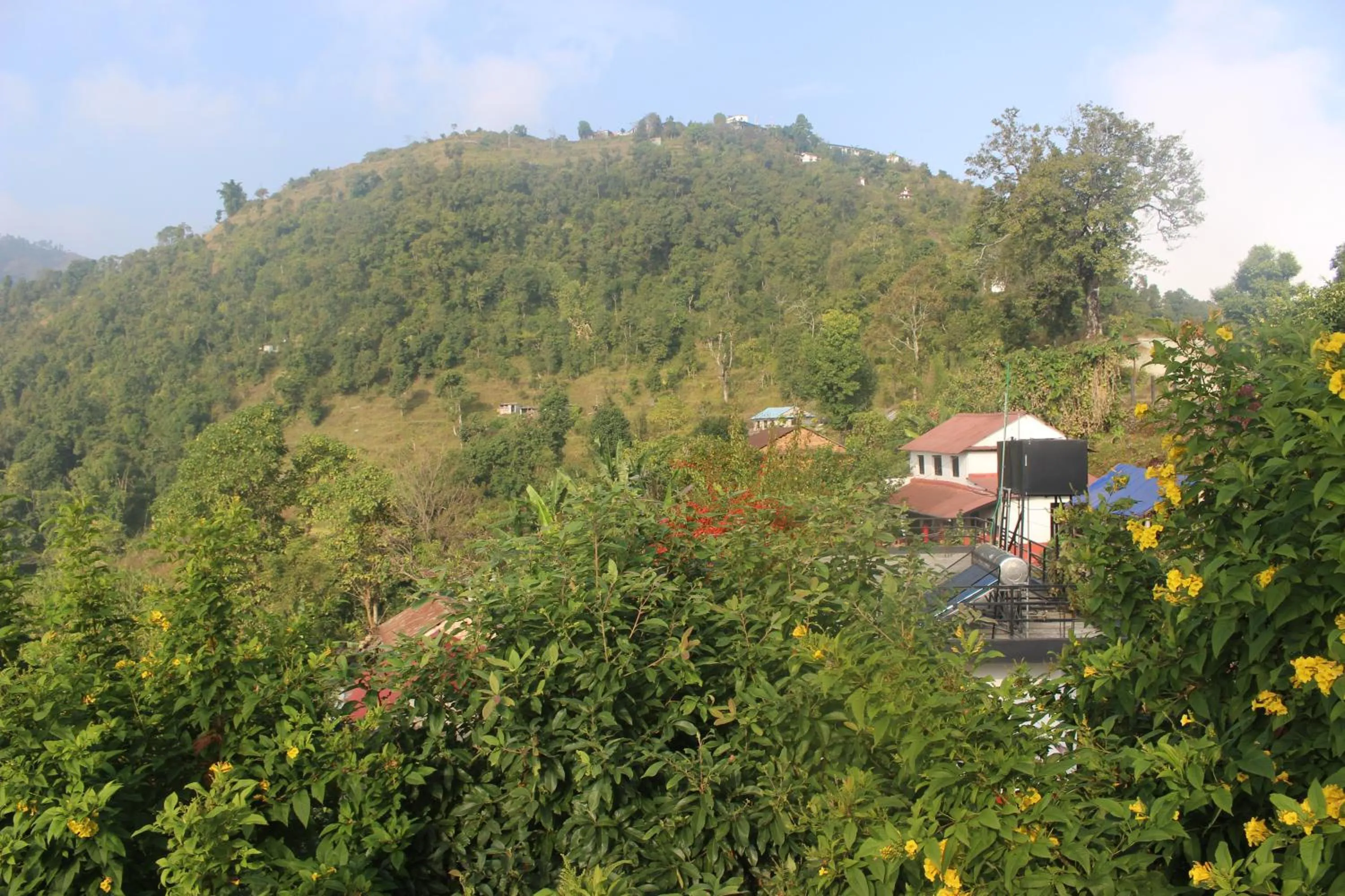 Bird's eye view in Siddhartha Garden Ayurveda