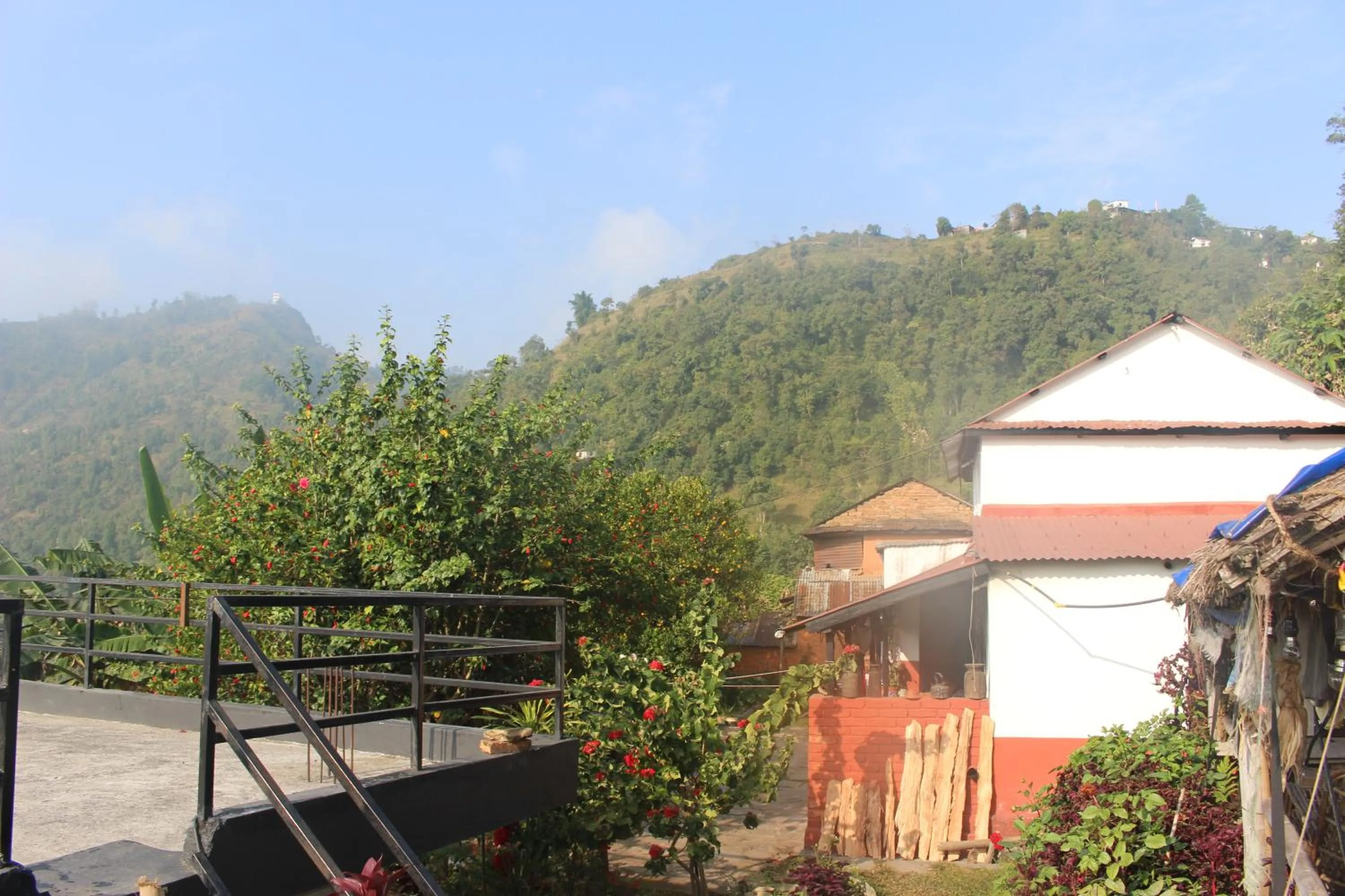 Time of day in Siddhartha Garden Ayurveda