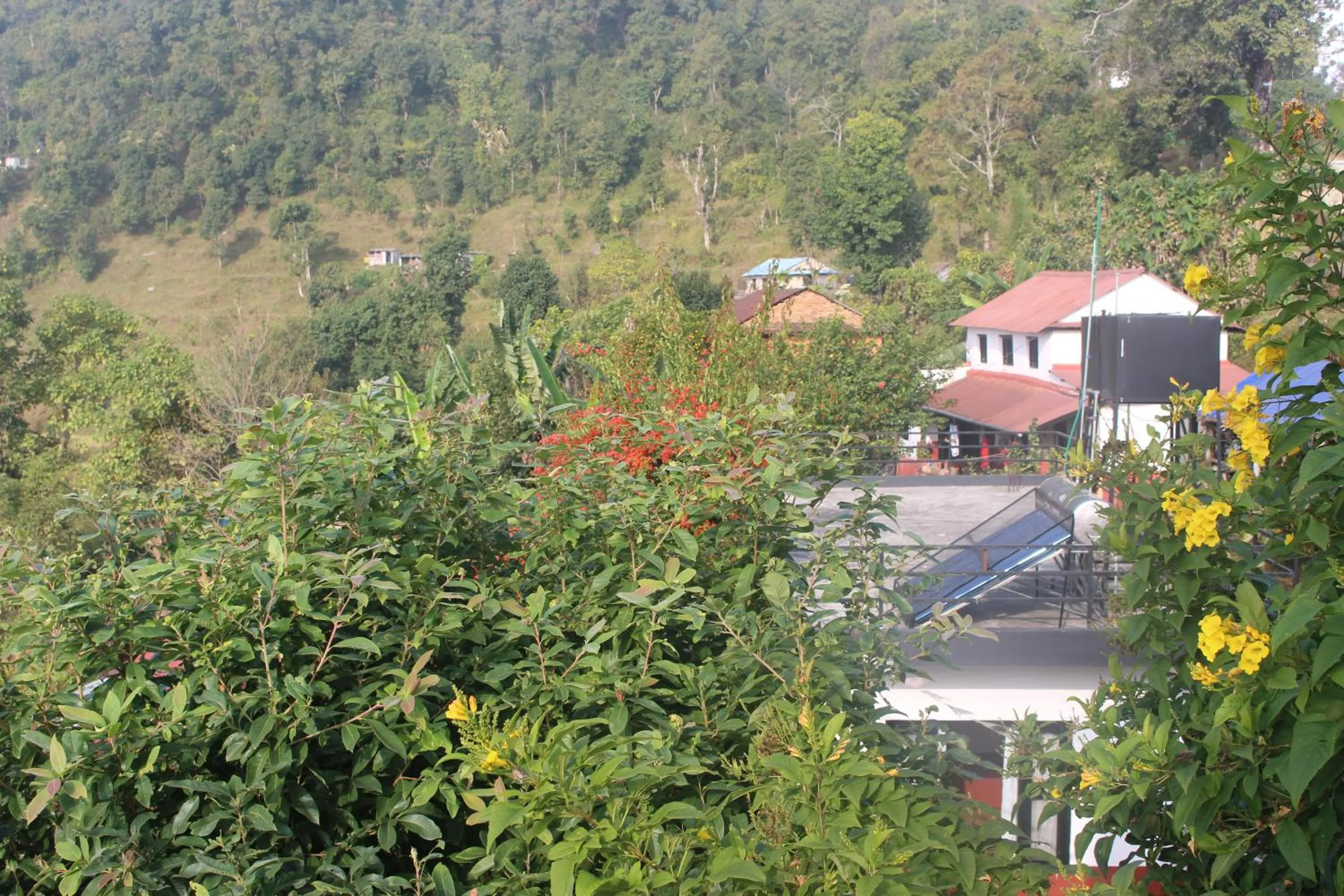 Natural landscape in Siddhartha Garden Ayurveda