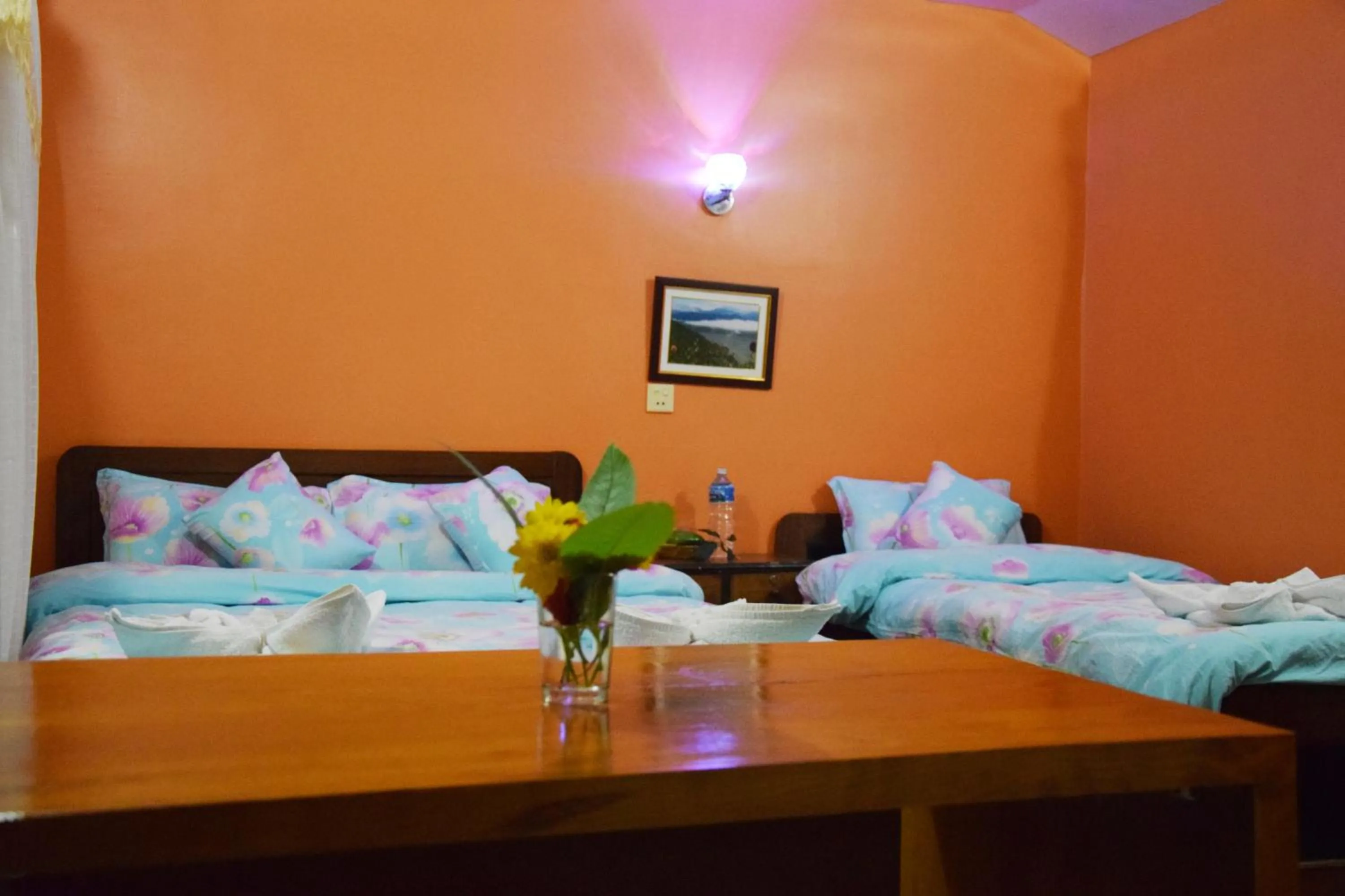 Photo of the whole room, Bed in Siddhartha Garden Ayurveda