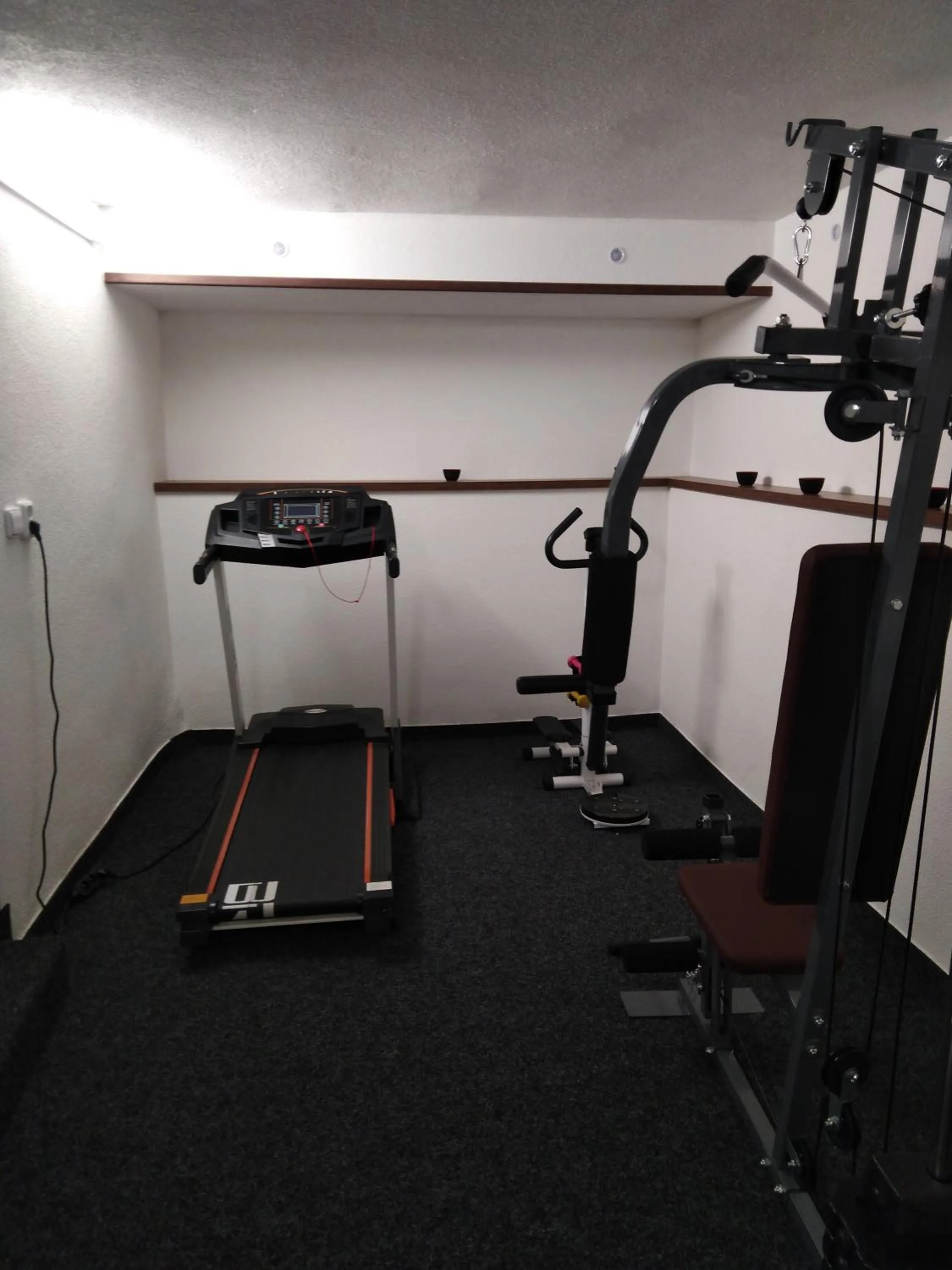 Fitness centre/facilities in Pension Lukas