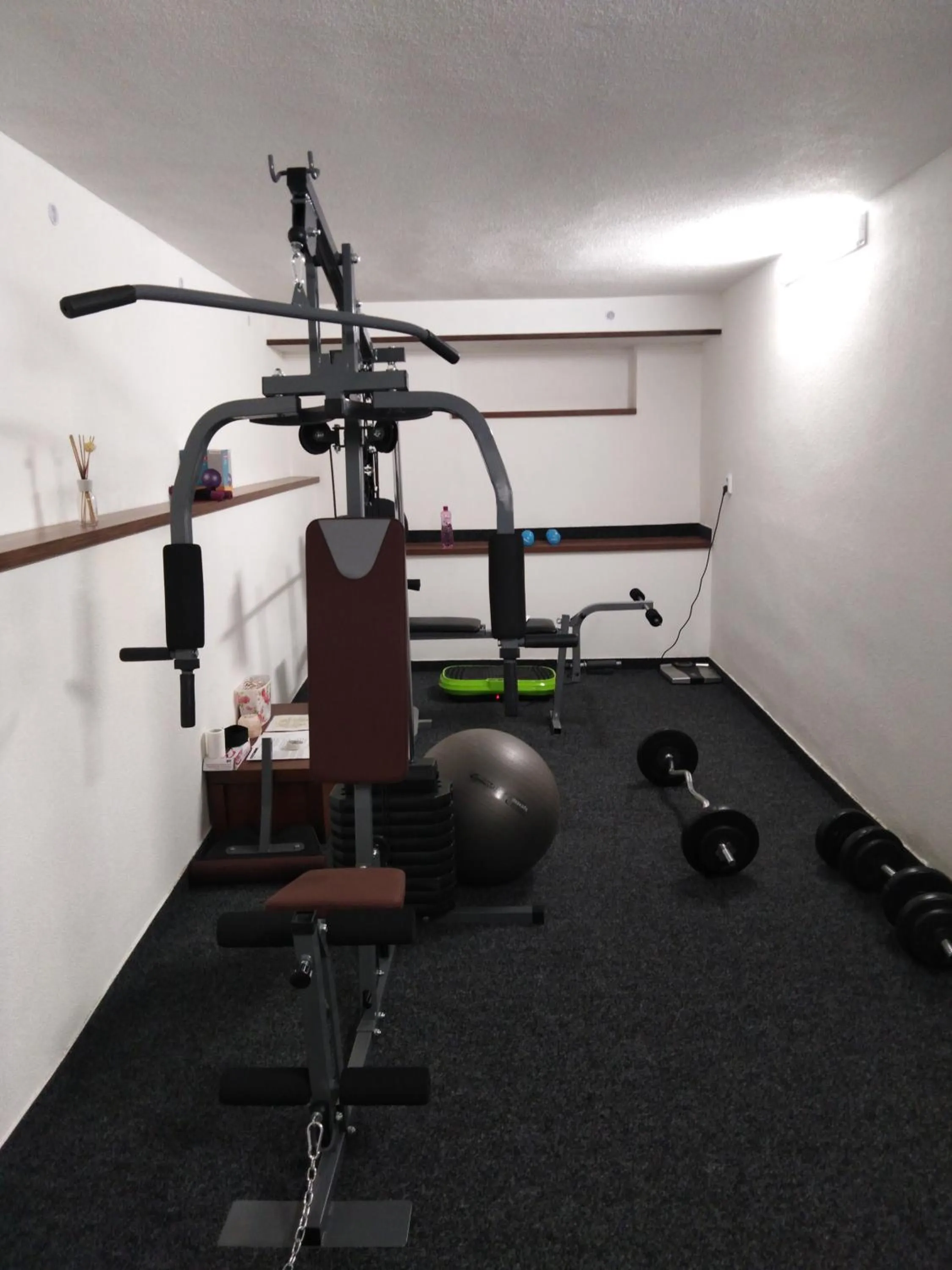 Fitness centre/facilities in Pension Lukas