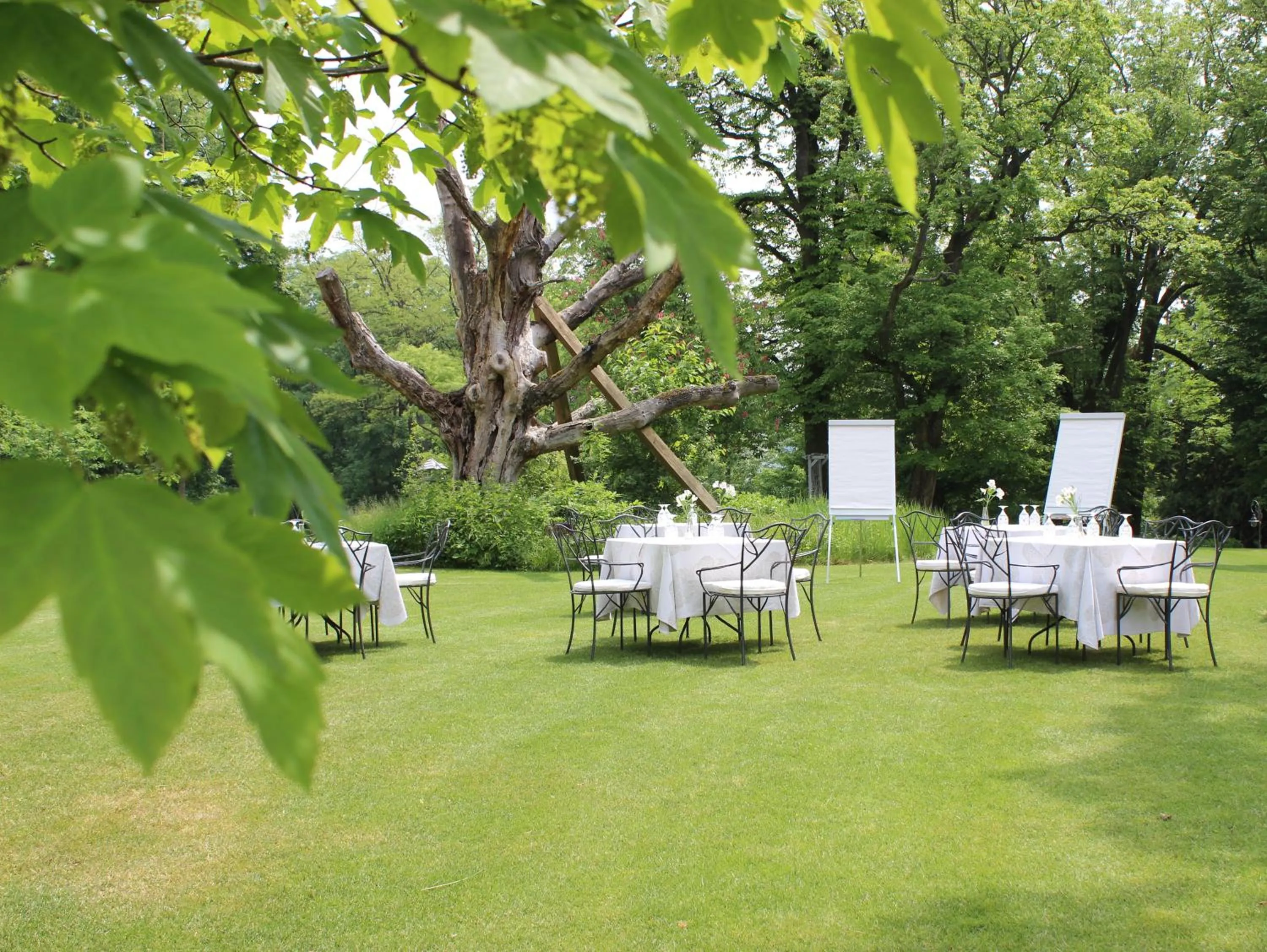 Garden in Chateau Mcely