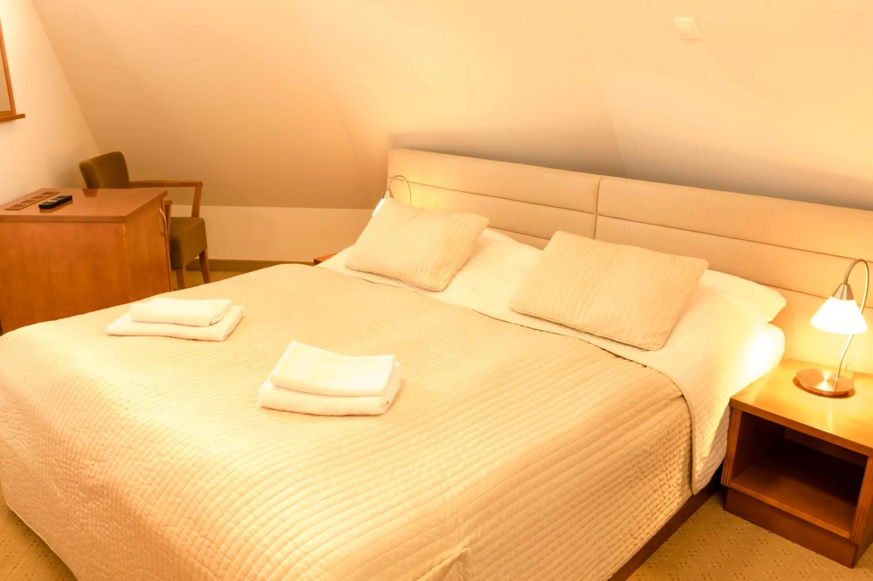 Bed in Hotel VÍTKOVA HORA