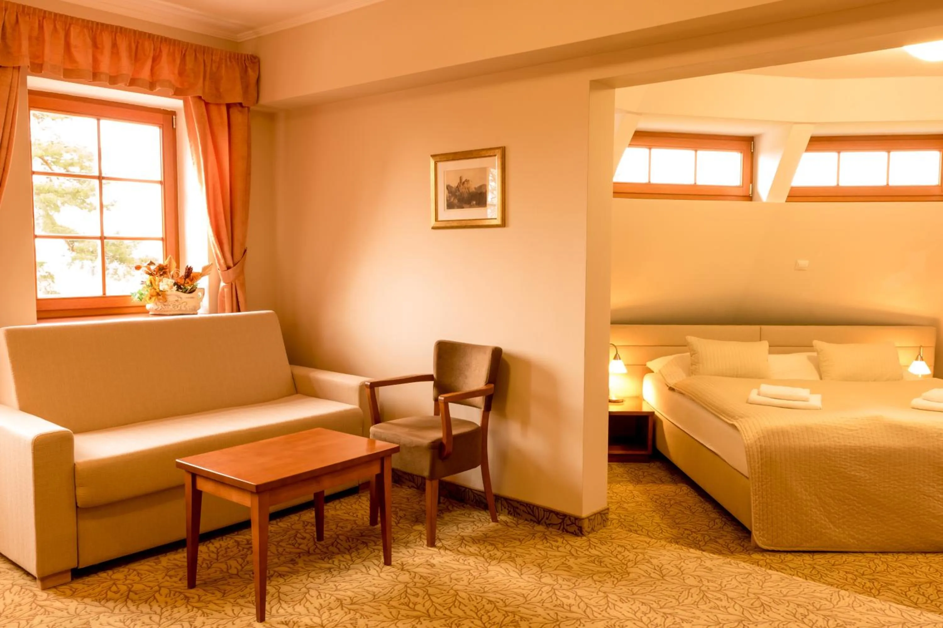 Living room, Bed in Hotel VÍTKOVA HORA