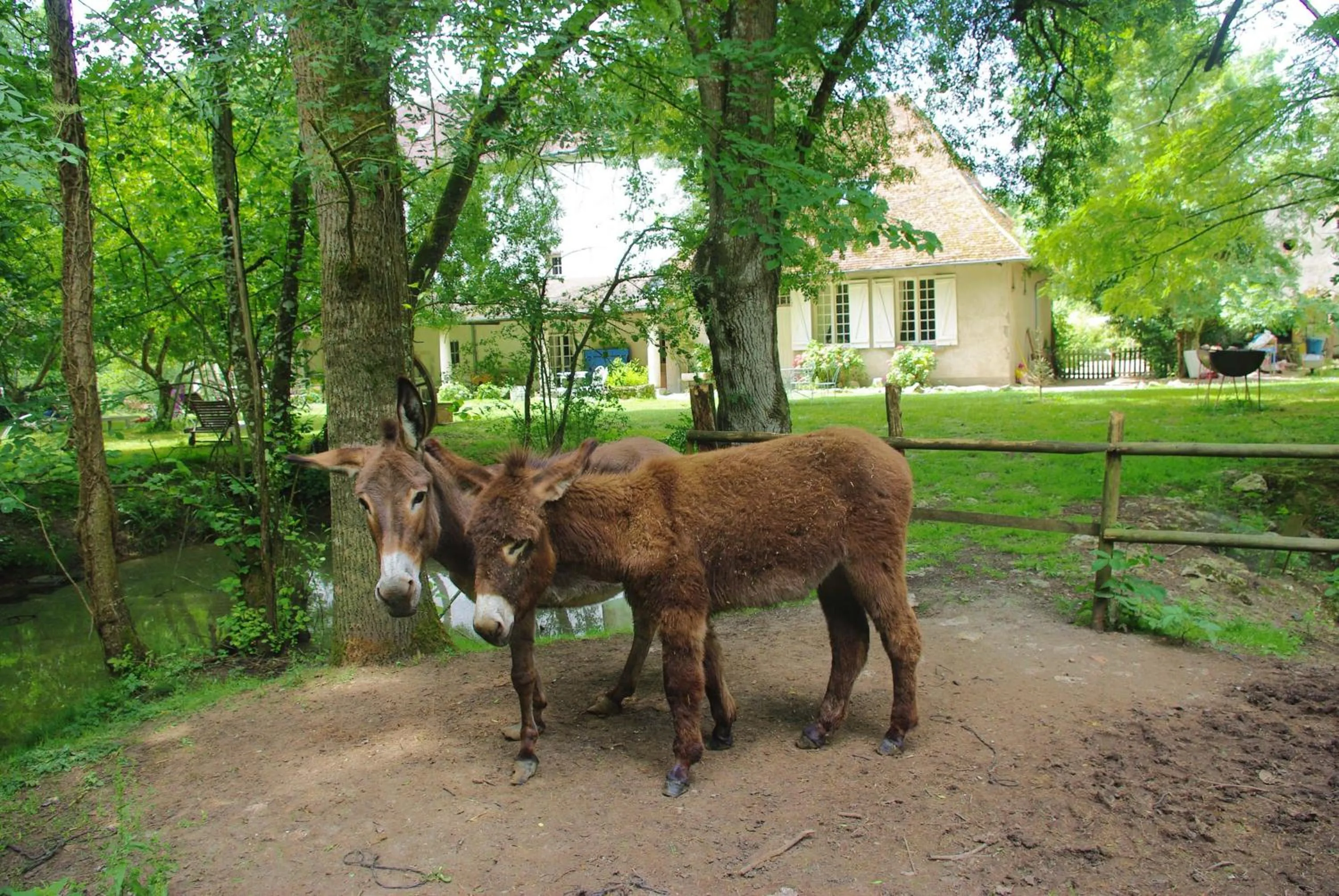 Garden in Maison d'hôtes Moulin du Bas Pesé