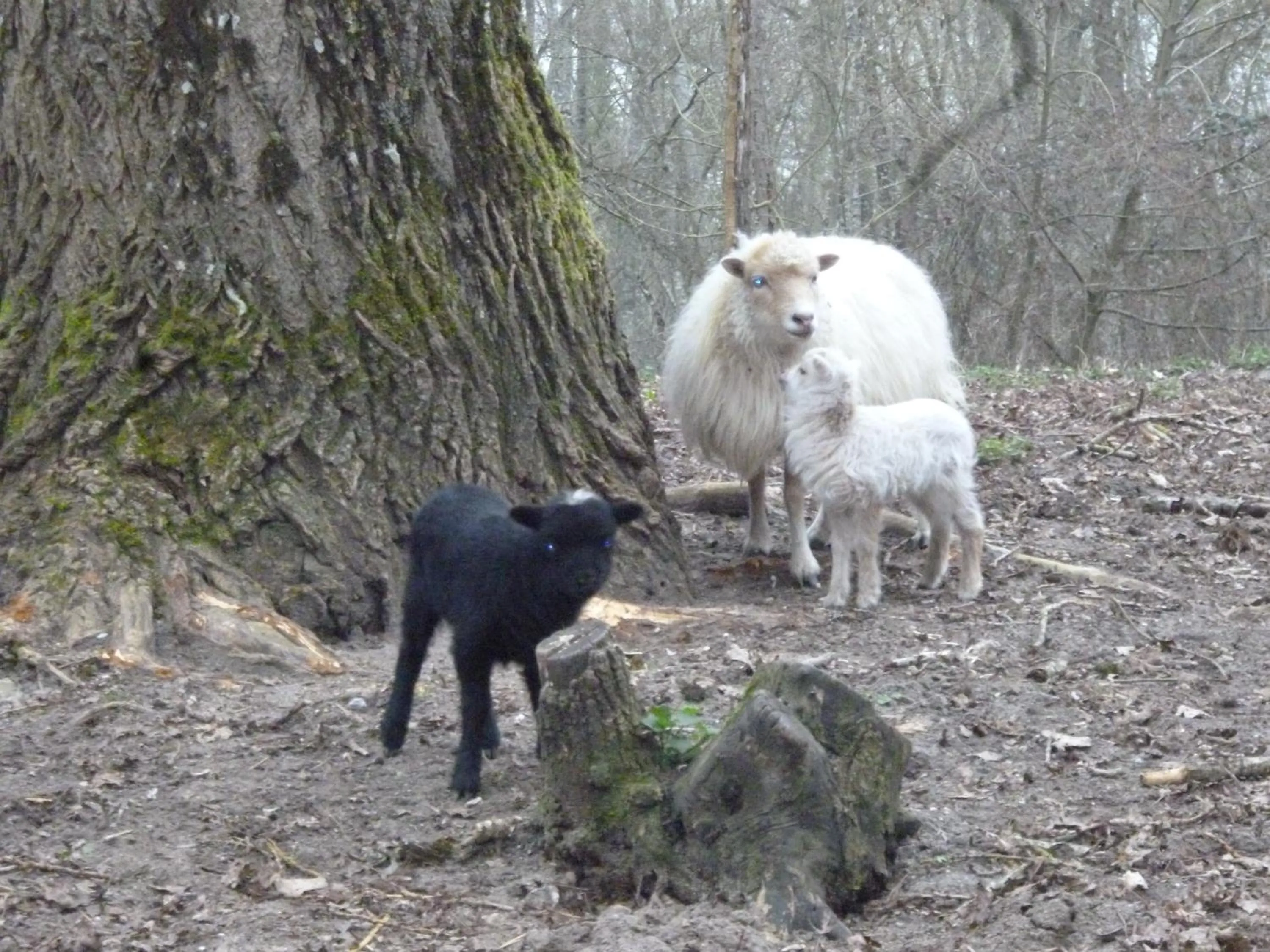 Spring in Maison d'hôtes Moulin du Bas Pesé