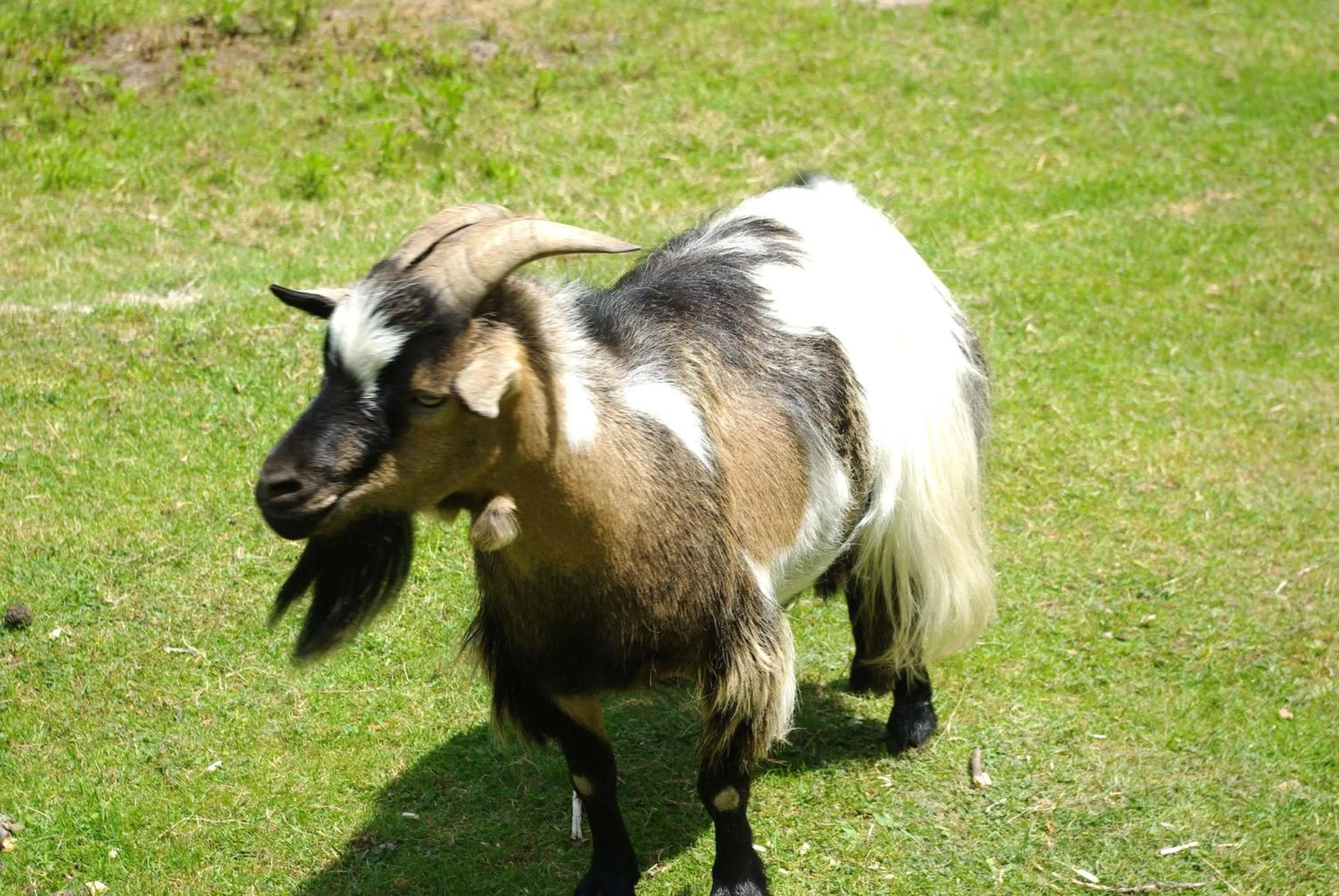 Garden in Maison d'hôtes Moulin du Bas Pesé