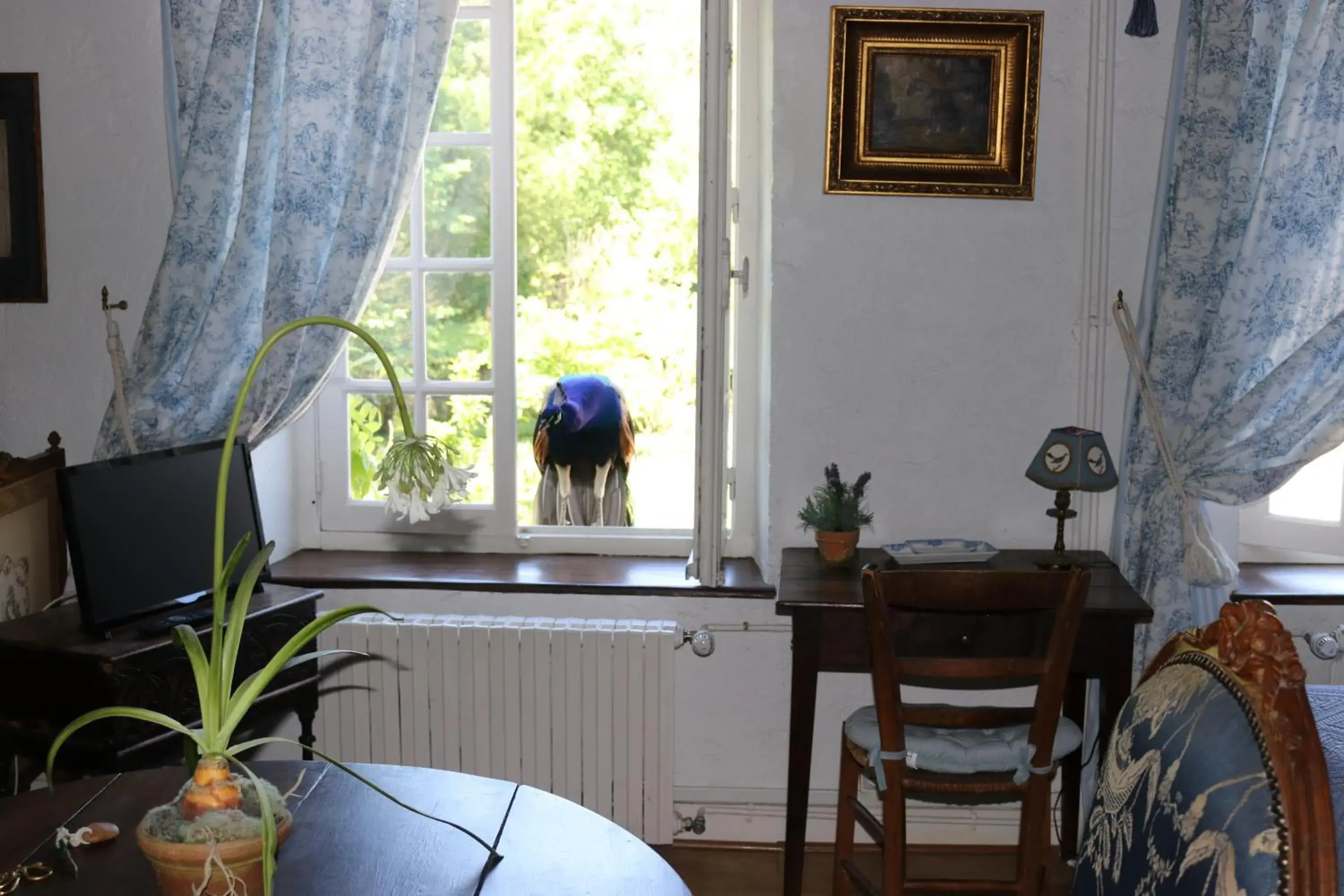 Standard Twin Room - Les Bleuets in Maison d'hôtes Moulin du Bas Pesé Standard Twin Room - Les Bleuets in Maison d'hôtes Moulin du Bas Pesé