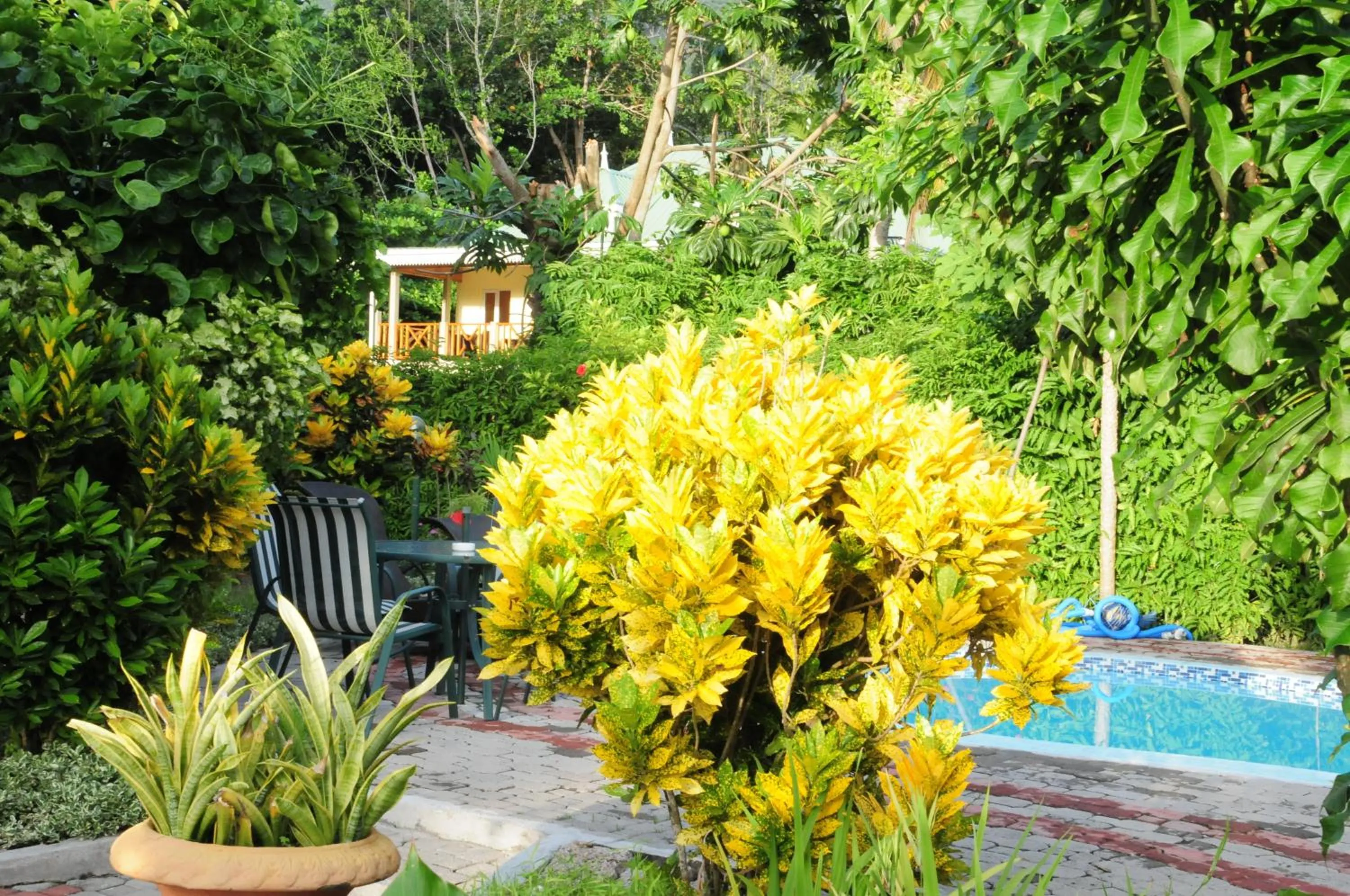 Garden in Casa De Leela Self Catering Guest House