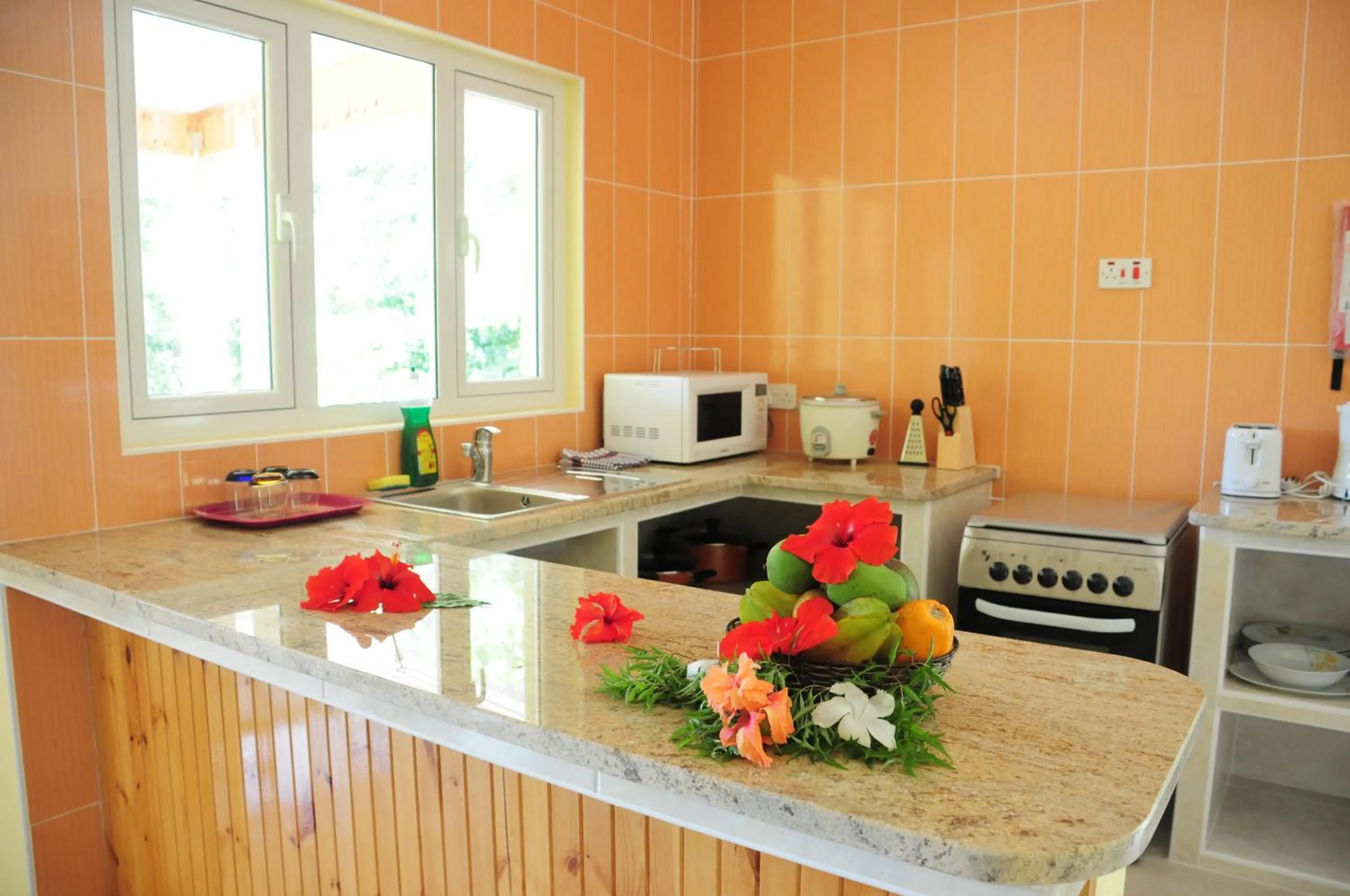 Kitchen or kitchenette in Casa De Leela Self Catering Guest House