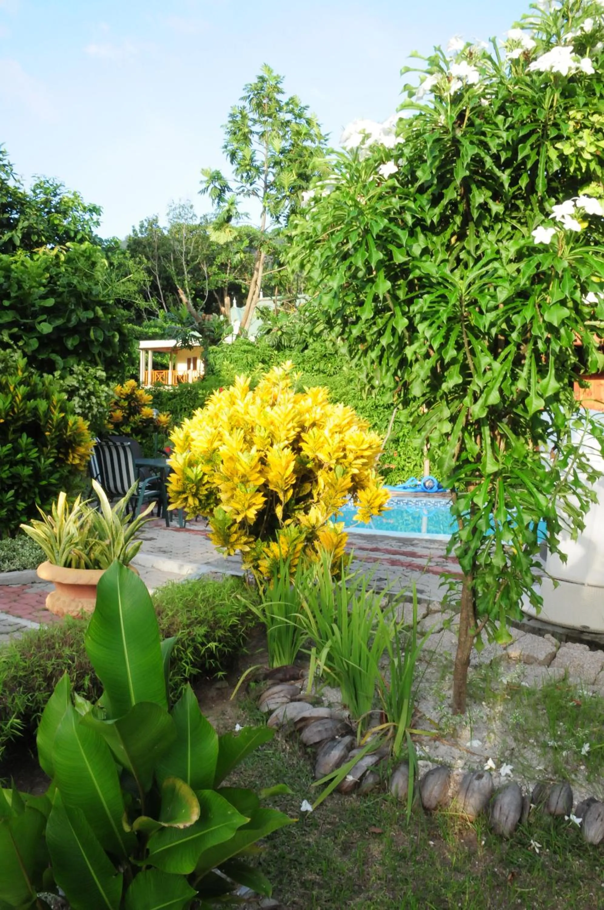 Garden in Casa De Leela Self Catering Guest House