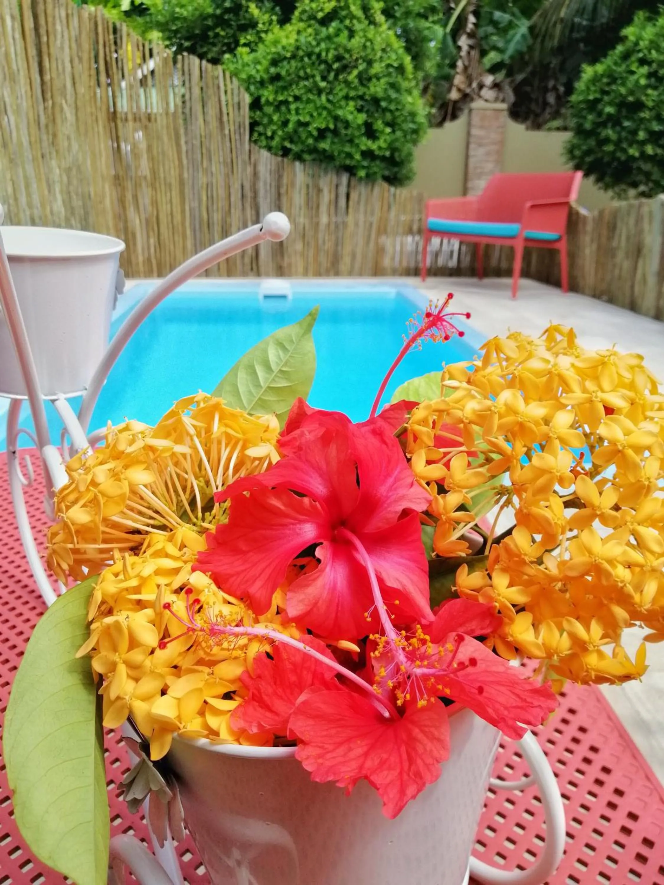Swimming pool in Casa De Leela Self Catering Guest House