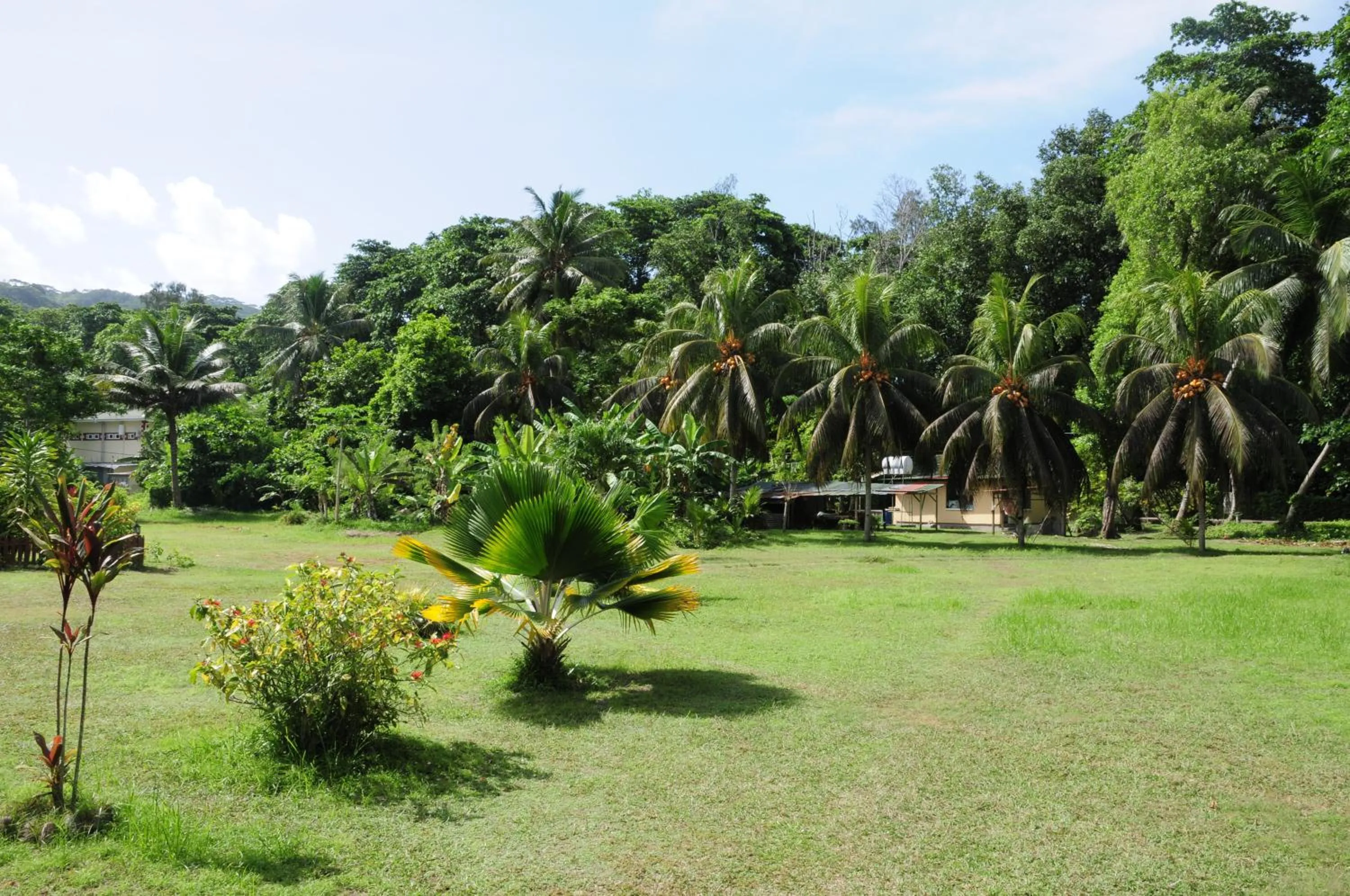 Garden in Casa De Leela Self Catering Guest House