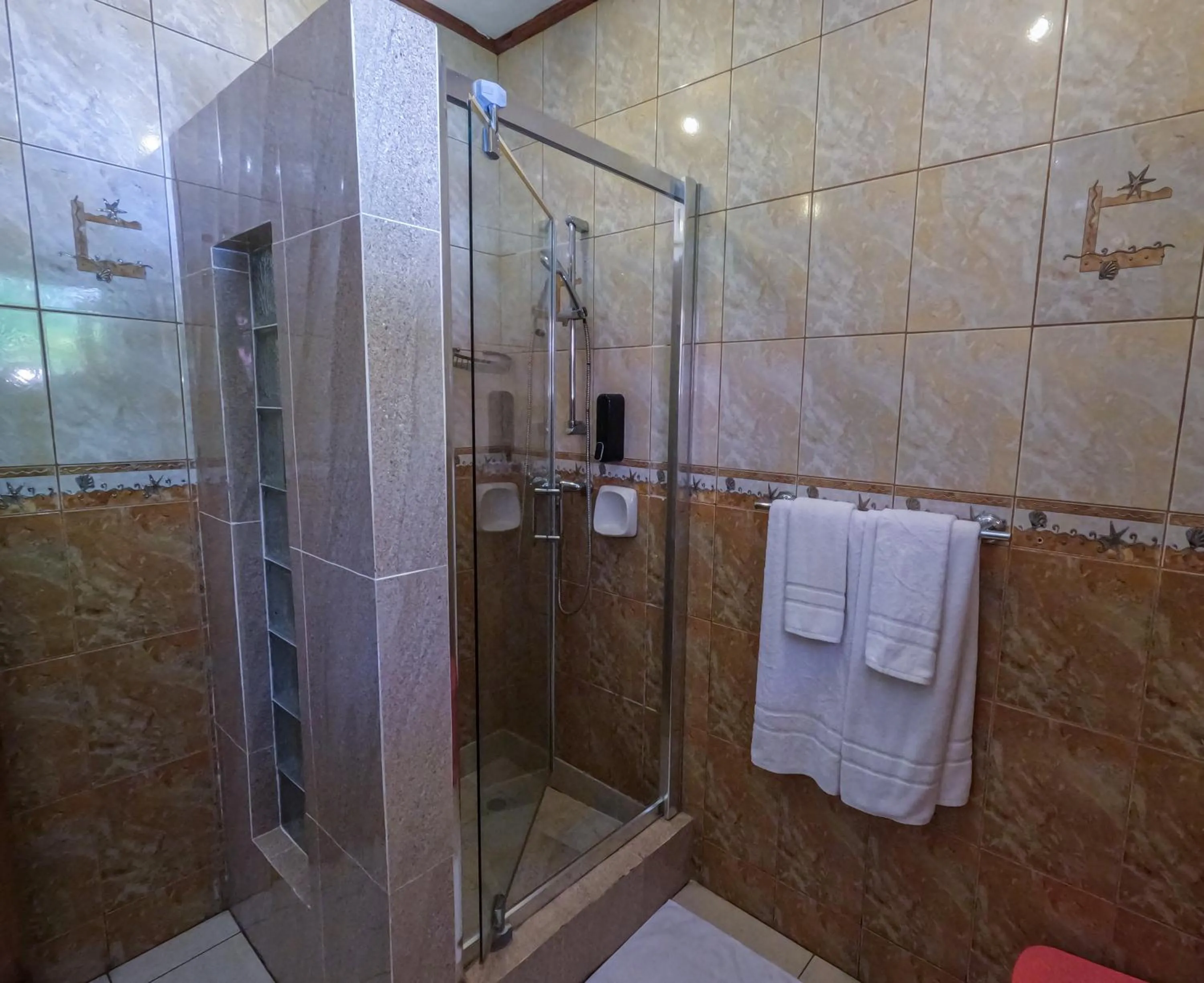 Shower in Casa De Leela Self Catering Guest House