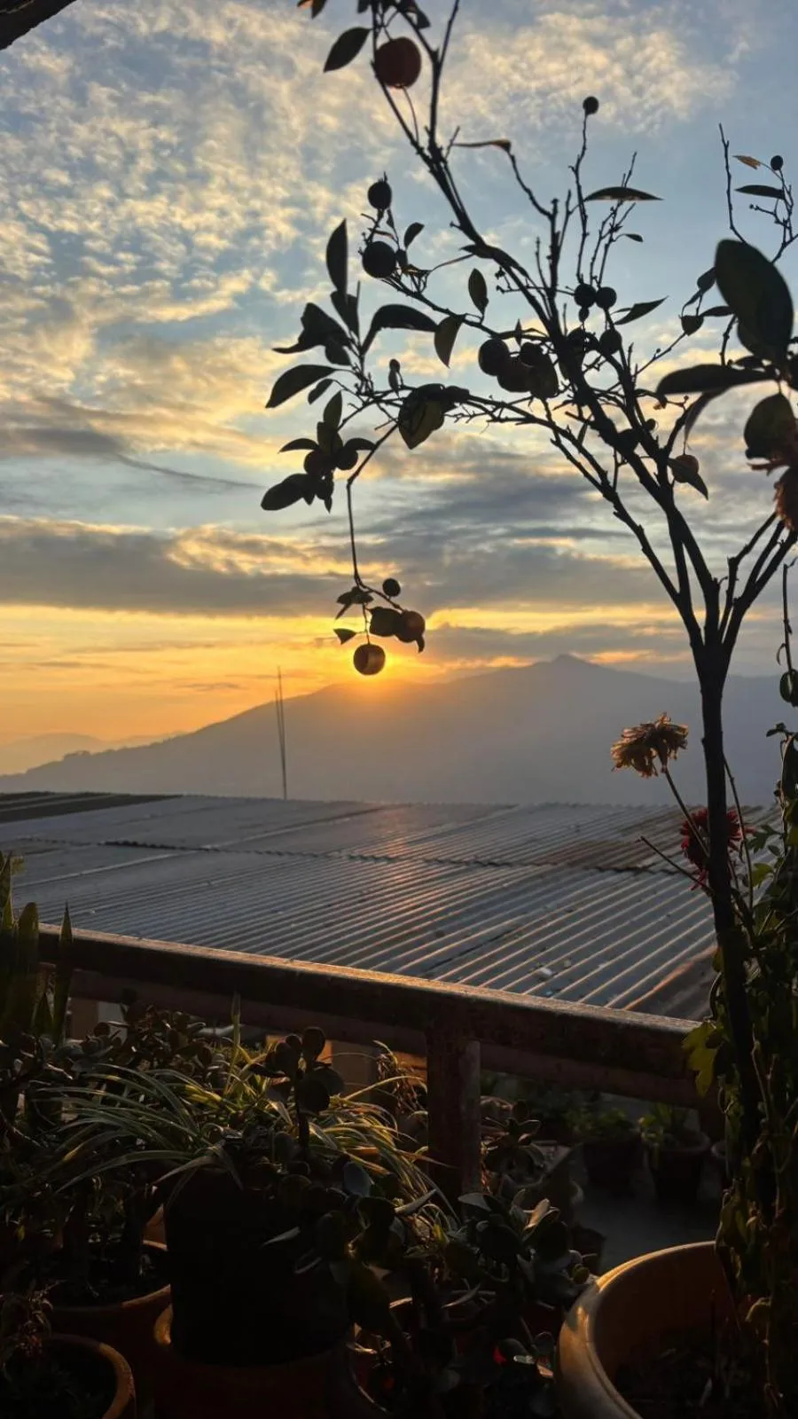 Property building in Mellow Fellow Hostel