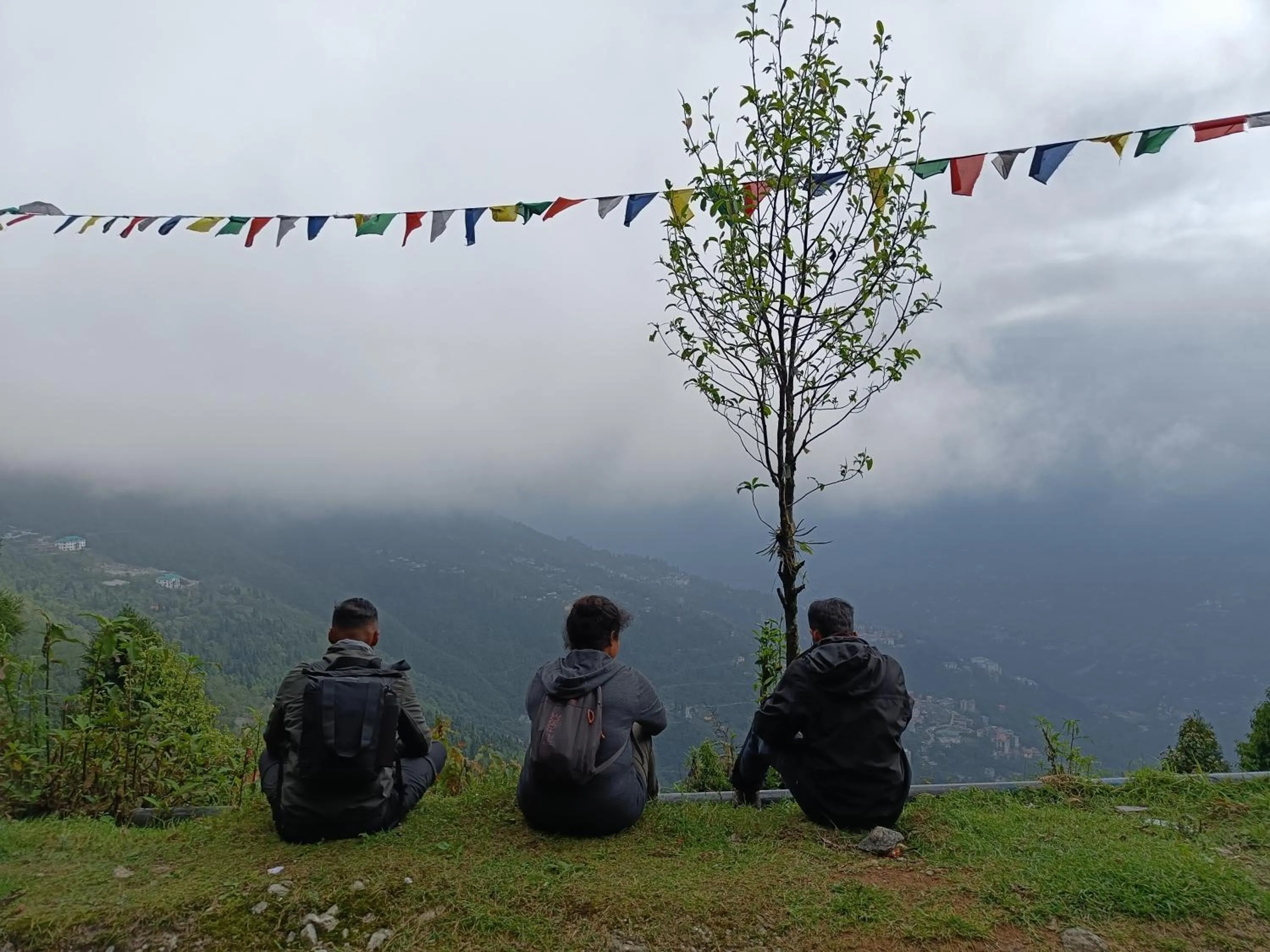 Day in Mellow Fellow Hostel