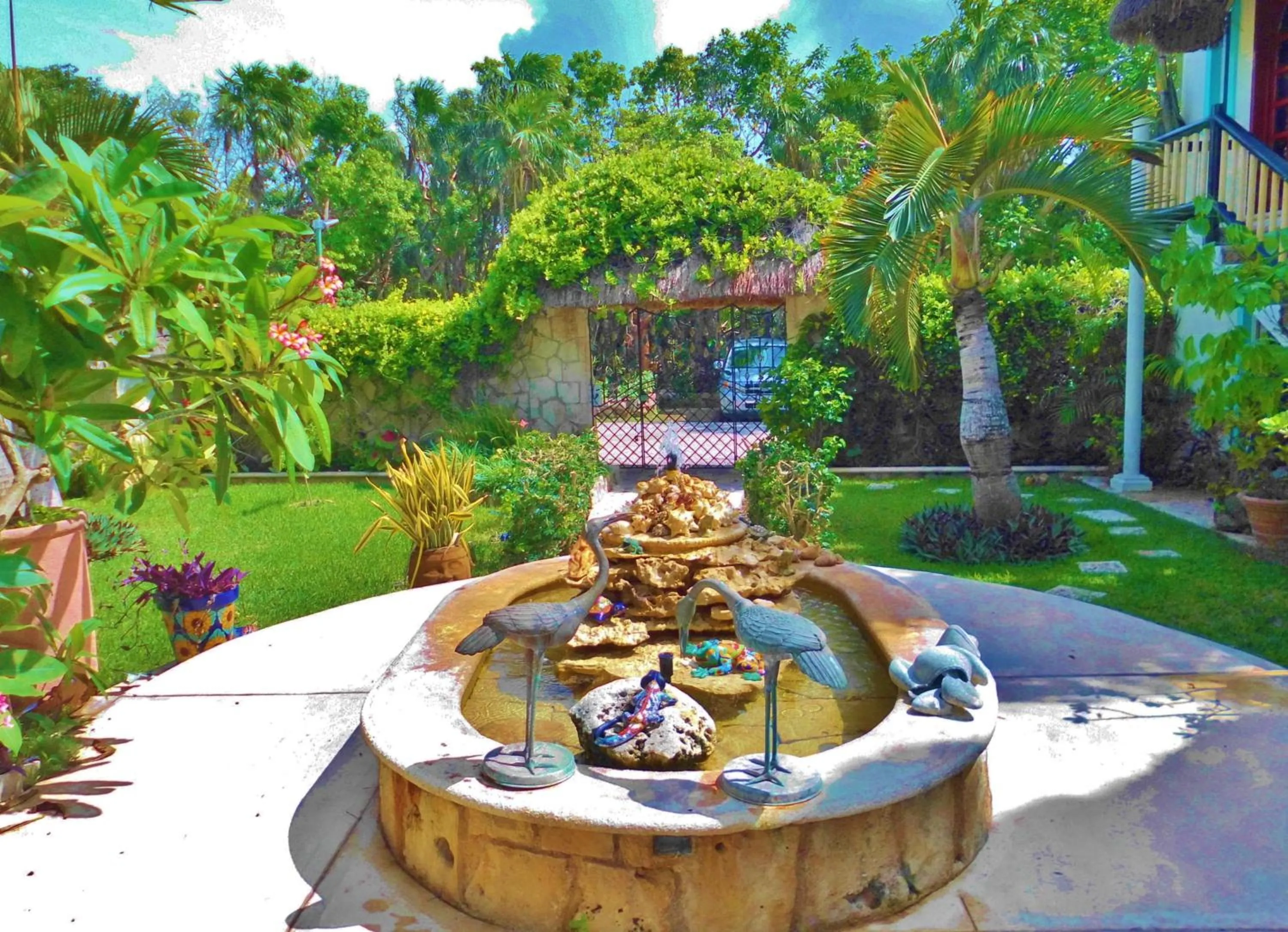 Patio in Casa Gatos Suites