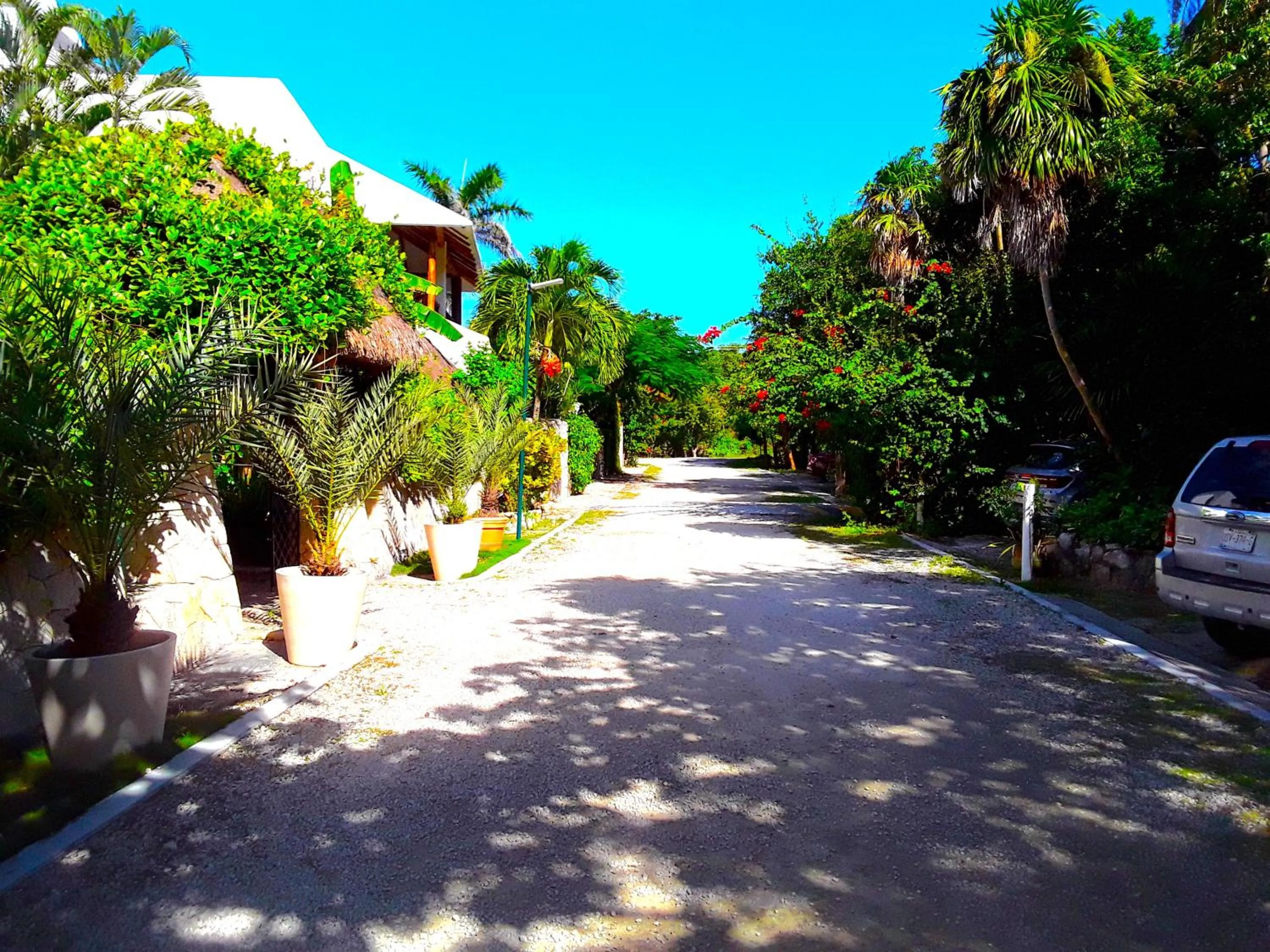 Street view in Casa Gatos Suites