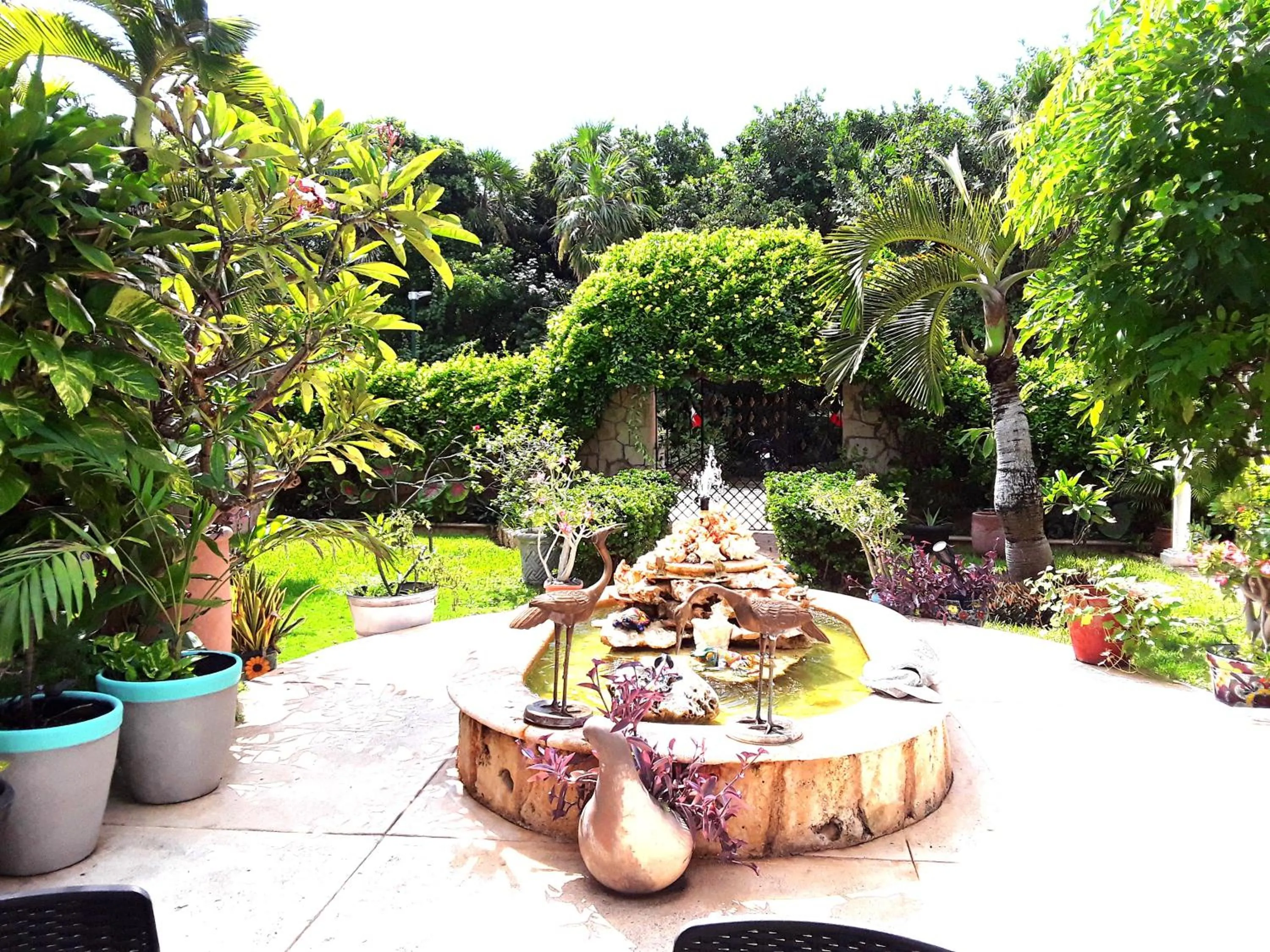 Garden in Casa Gatos Suites