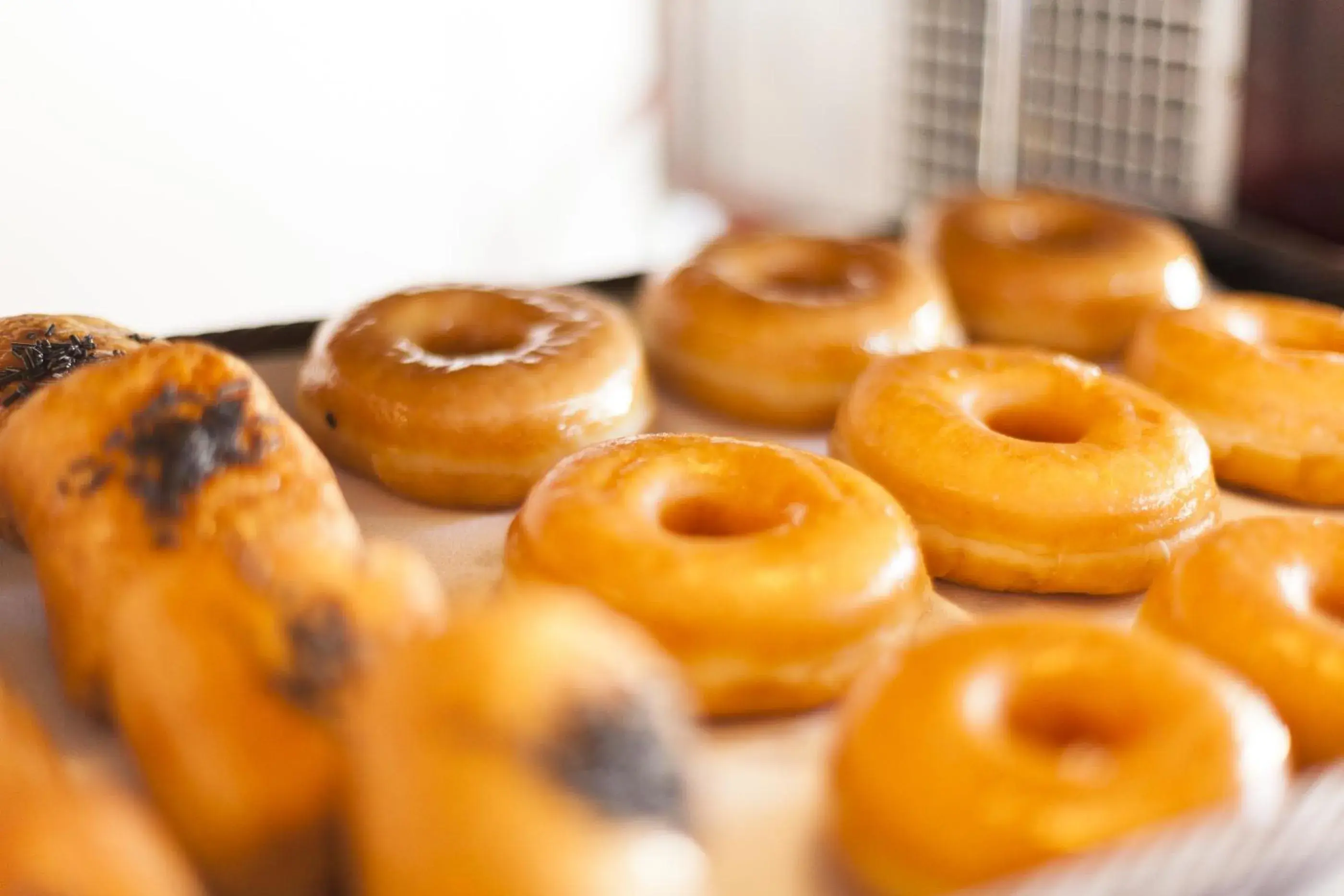 Food close-up in Marina Palace by Intercorp Hotel Group Food close-up in Marina Palace by Intercorp Hotel Group