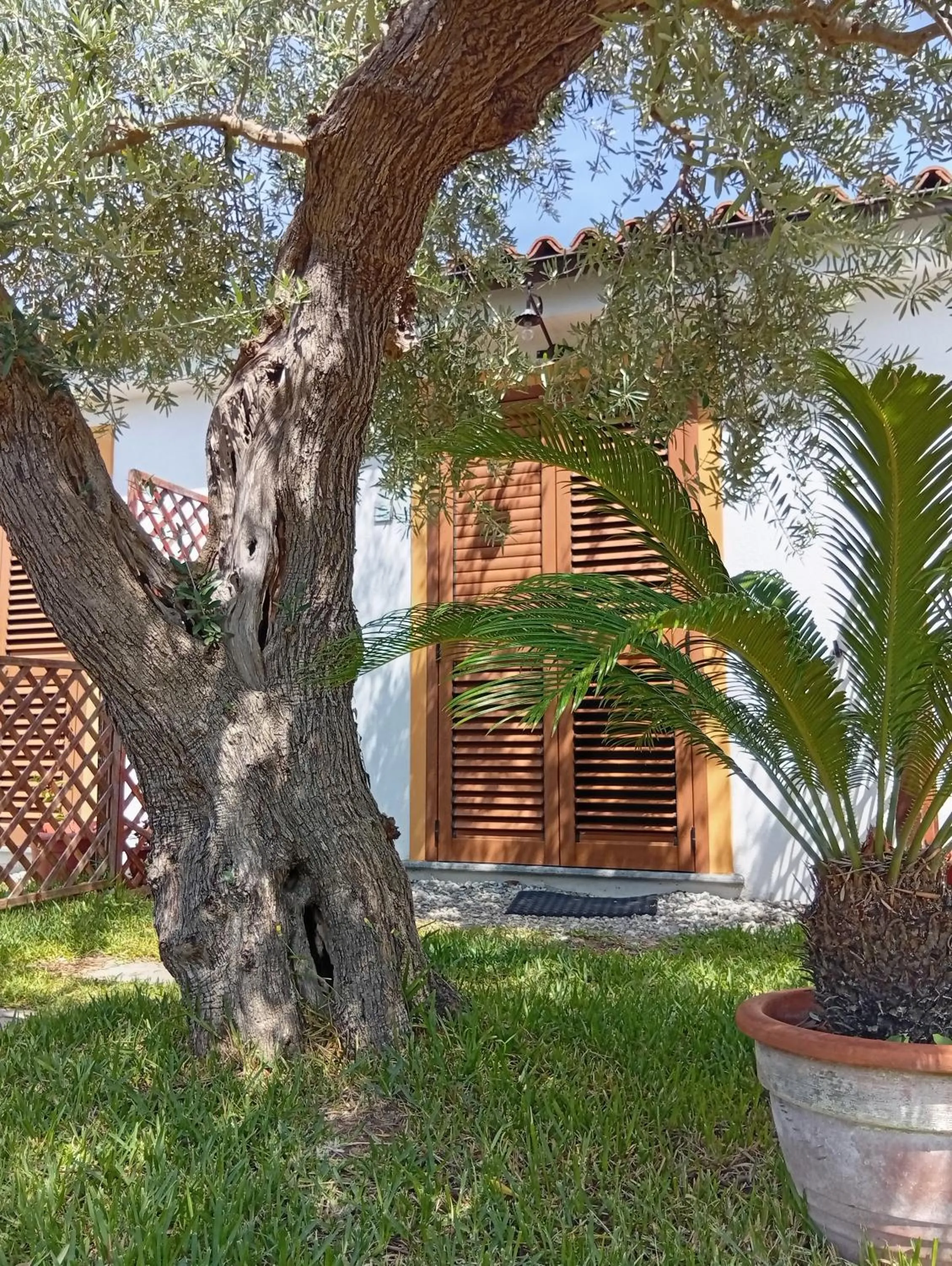 B&B da Maria Teresa - Maratea